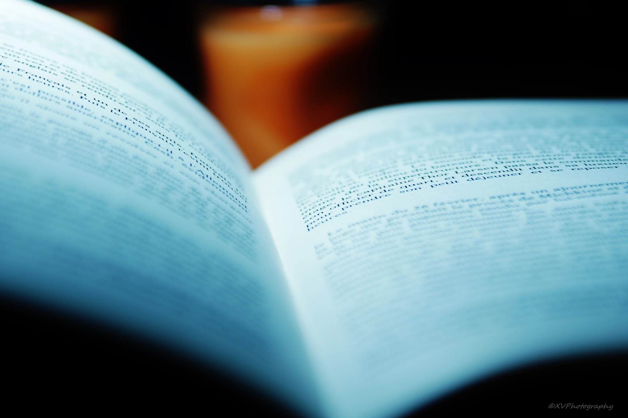 Sony SLT-A77 + Tamron Lens (255) sample photo. Un peut de lecture photography