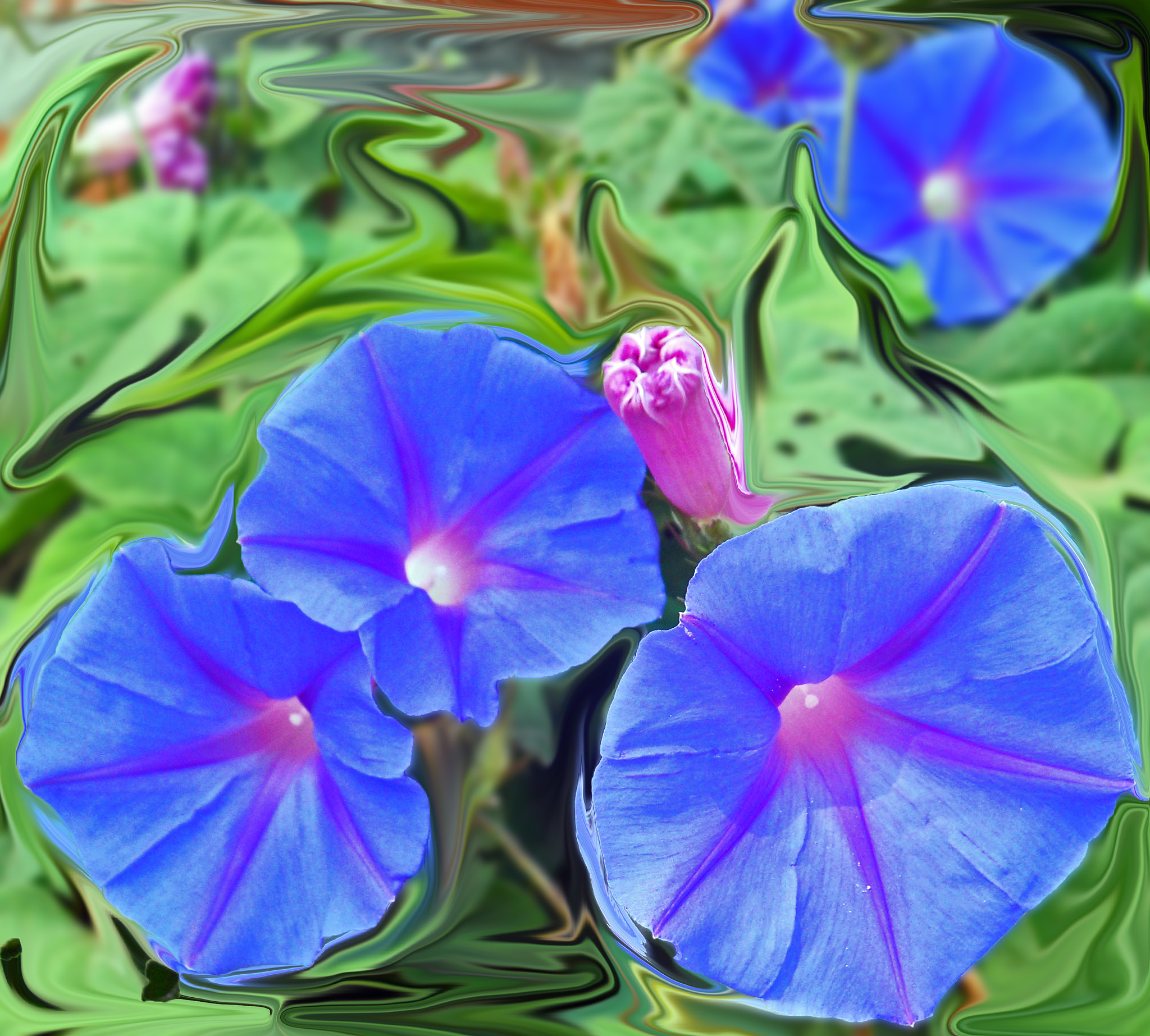 Nikon Coolpix S570 sample photo. () photography