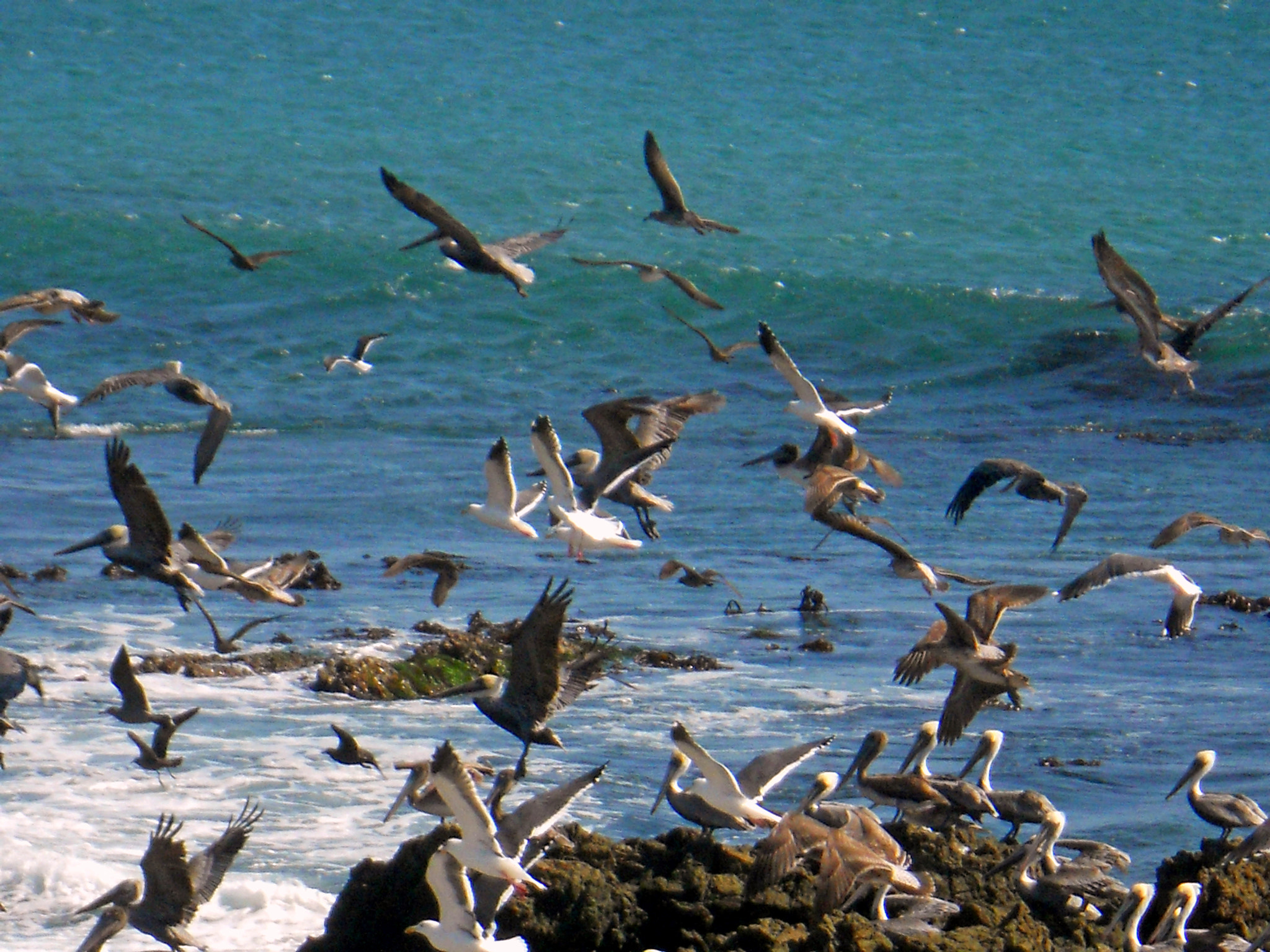 Nikon Coolpix S570 sample photo. Bofa fishing villages photography