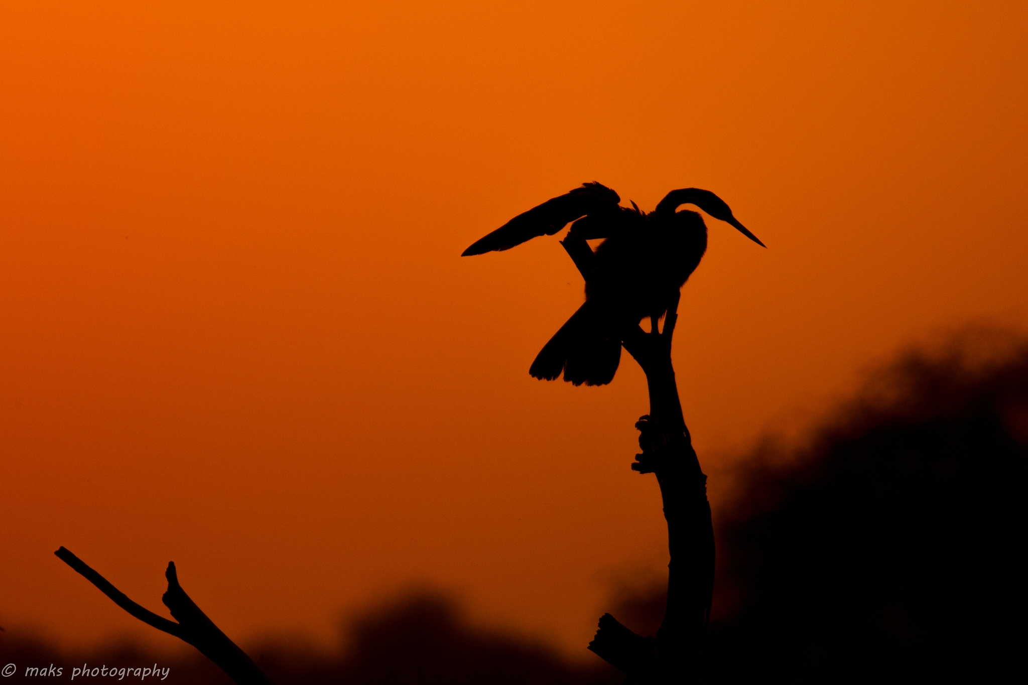 Canon EF 100-400mm F4.5-5.6L IS USM sample photo. Evening hues photography