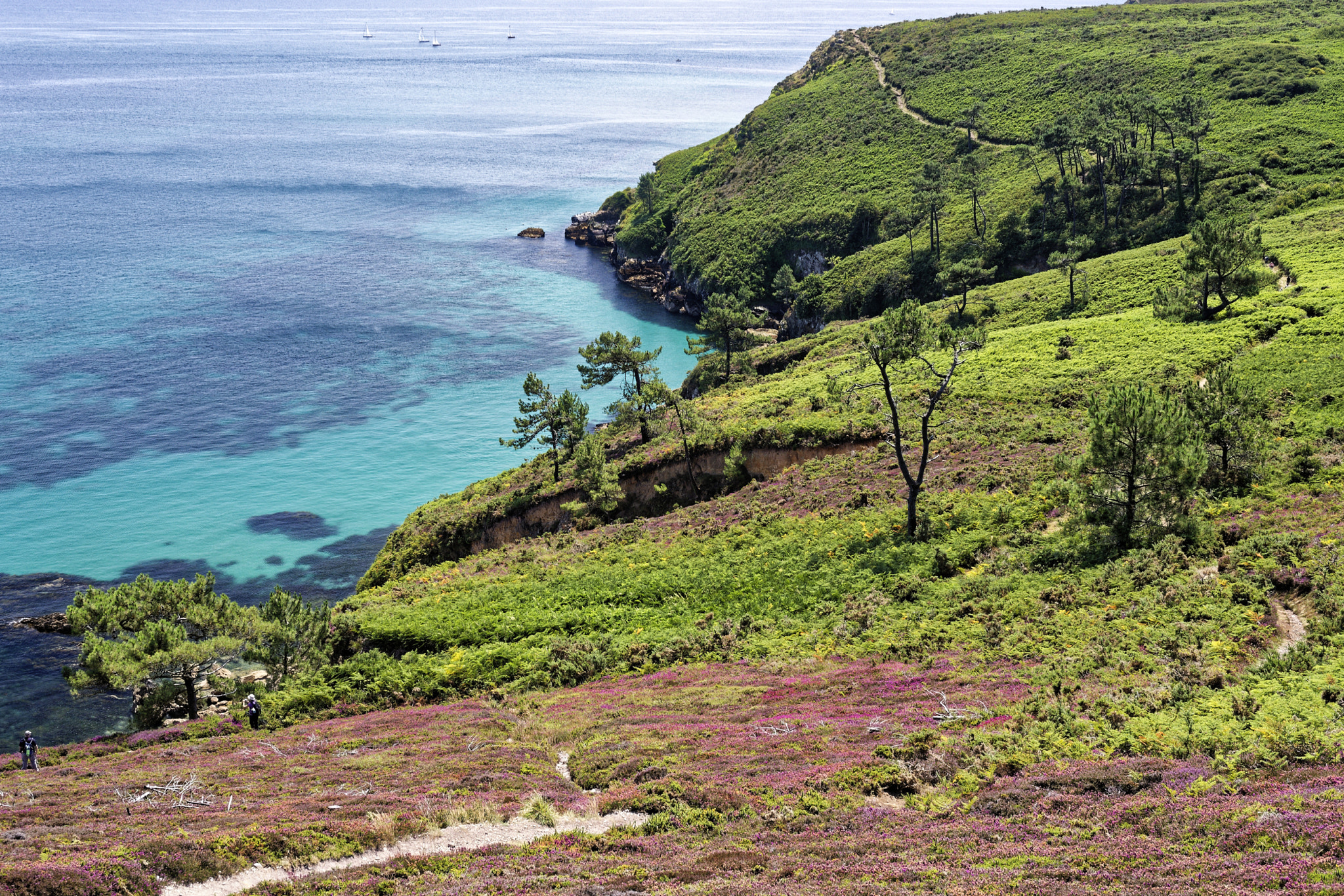 Nikon D750 + AF Zoom-Nikkor 35-70mm f/2.8D sample photo. Cap de la chèvre photography