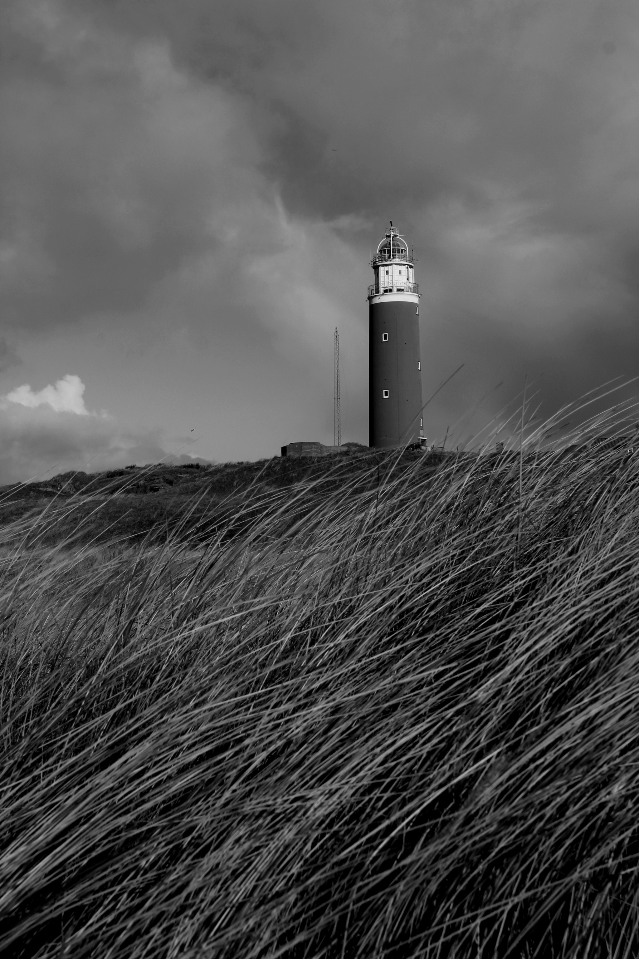 Canon EOS 600D (Rebel EOS T3i / EOS Kiss X5) + Tamron AF 18-270mm F3.5-6.3 Di II VC LD Aspherical (IF) MACRO sample photo. Lighthouse texel b&amp;w photography