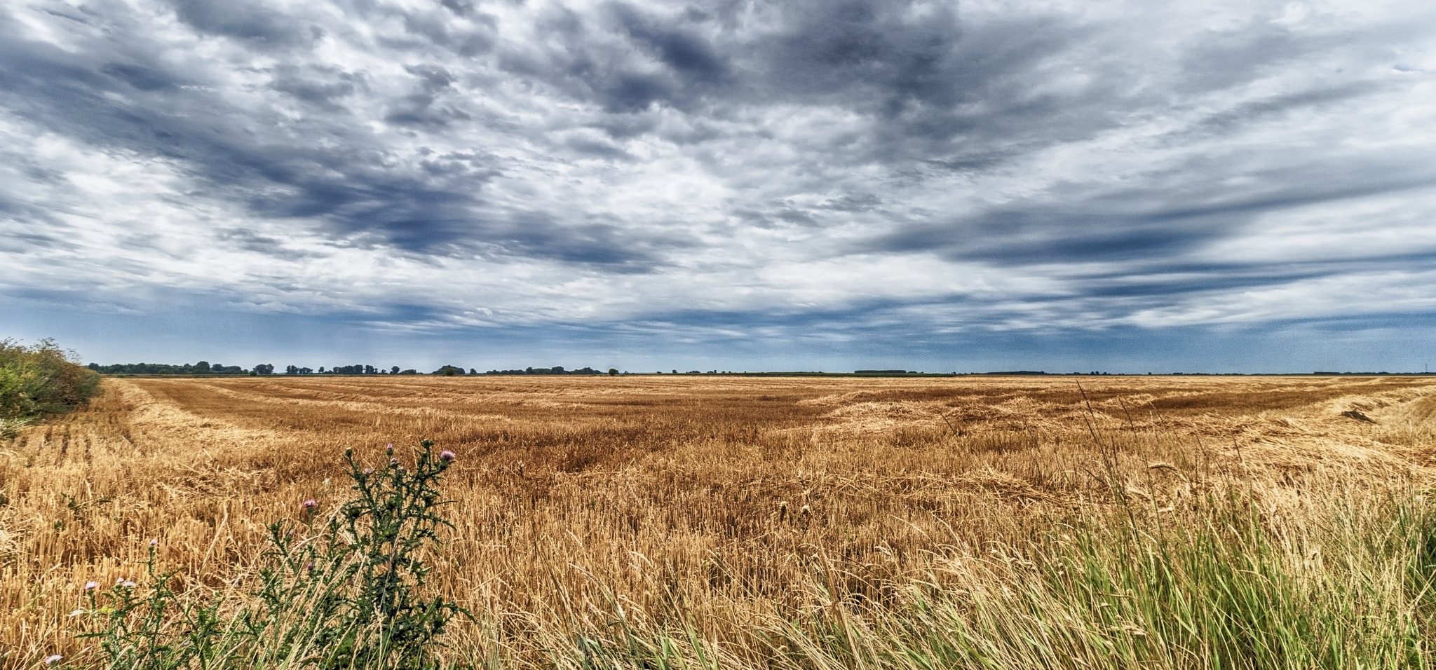 Canon EF-S 10-18mm F4.5–5.6 IS STM sample photo. Miske, ground wheat, hungary photography