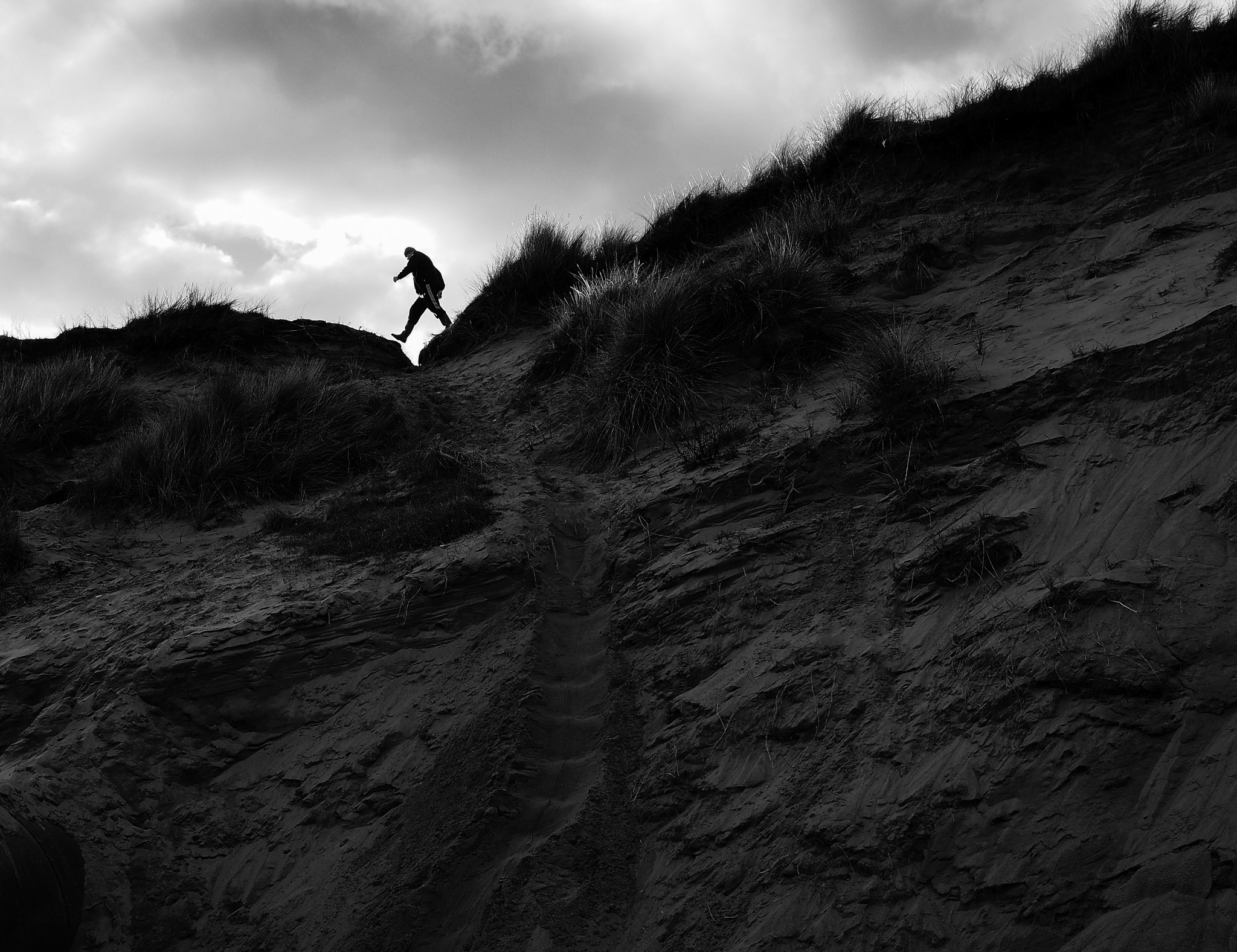 Olympus OM-D E-M10 + Panasonic Lumix G 20mm F1.7 ASPH sample photo. Dune strider photography