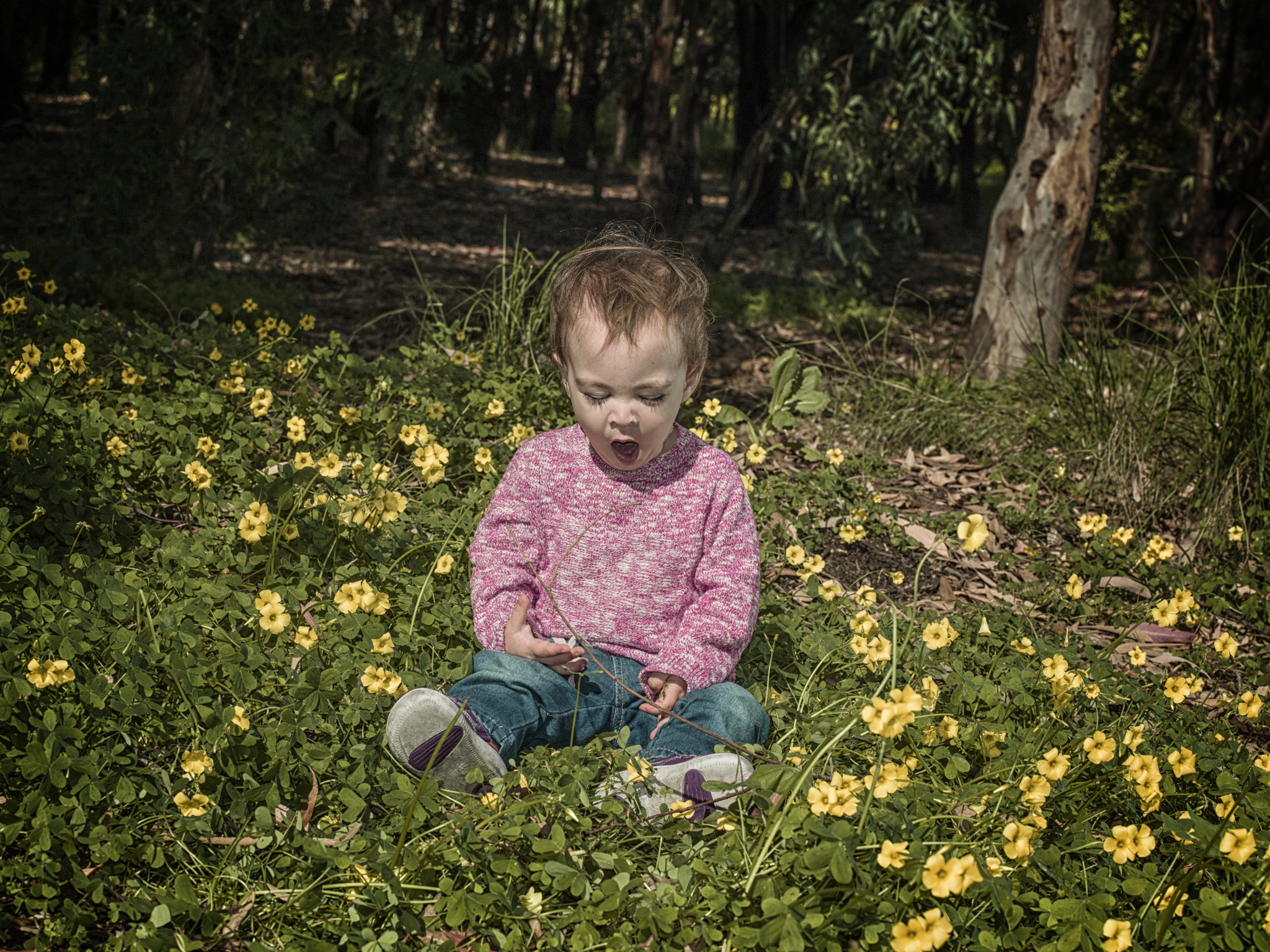 Hasselblad H4D-40 + HC 80 sample photo. Sleepy meadow photography