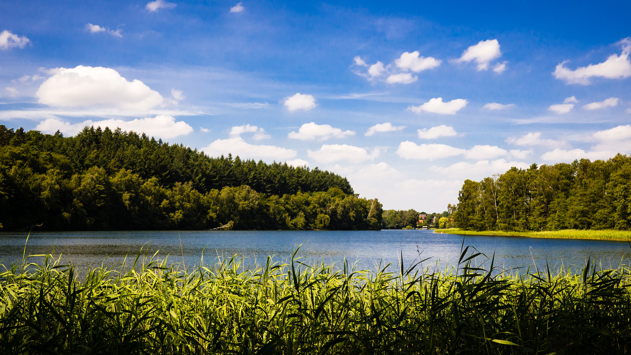 Olympus OM-D E-M10 + LUMIX G 20/F1.7 II sample photo. Salemer see ii (view on salem) photography