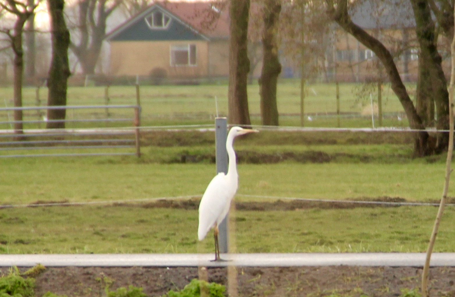 Canon 18-250mm sample photo. Image photography