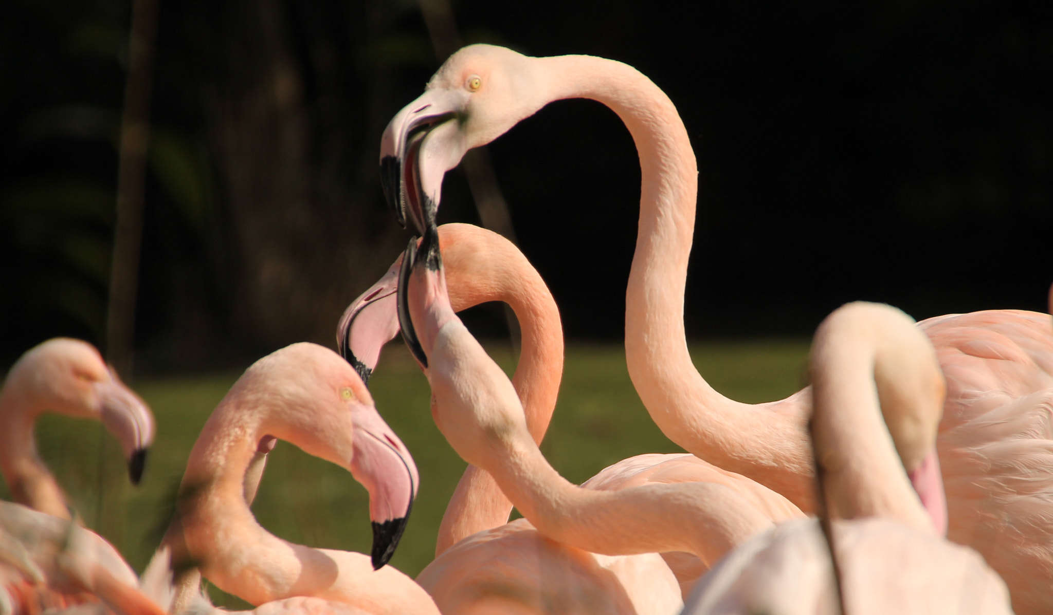 Canon 18-250mm sample photo. Image photography