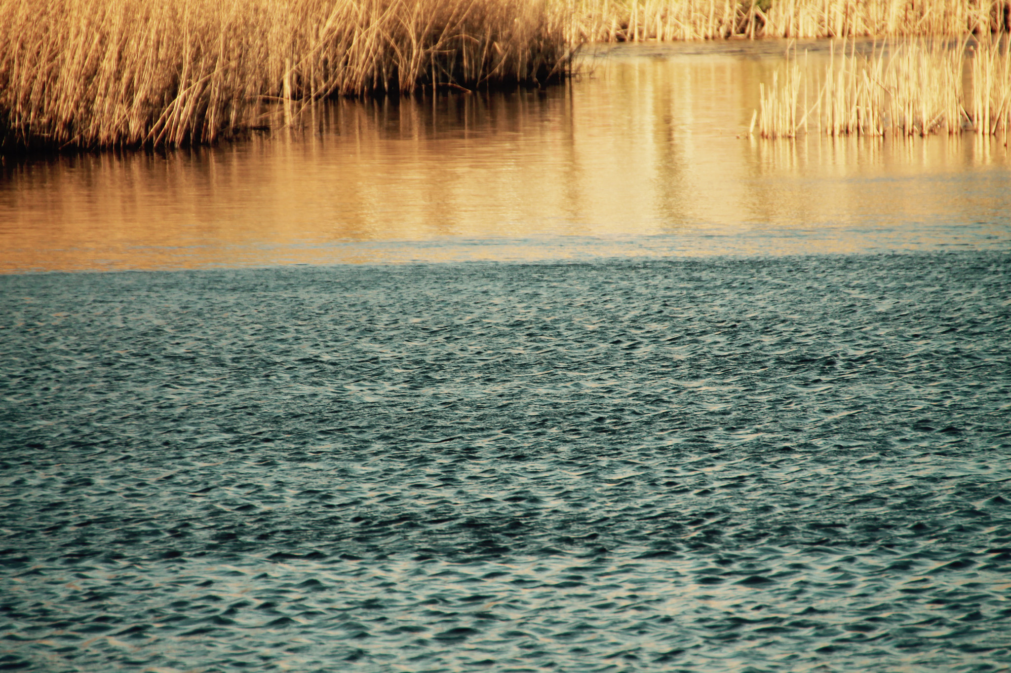 Canon 18-250mm sample photo. Image photography