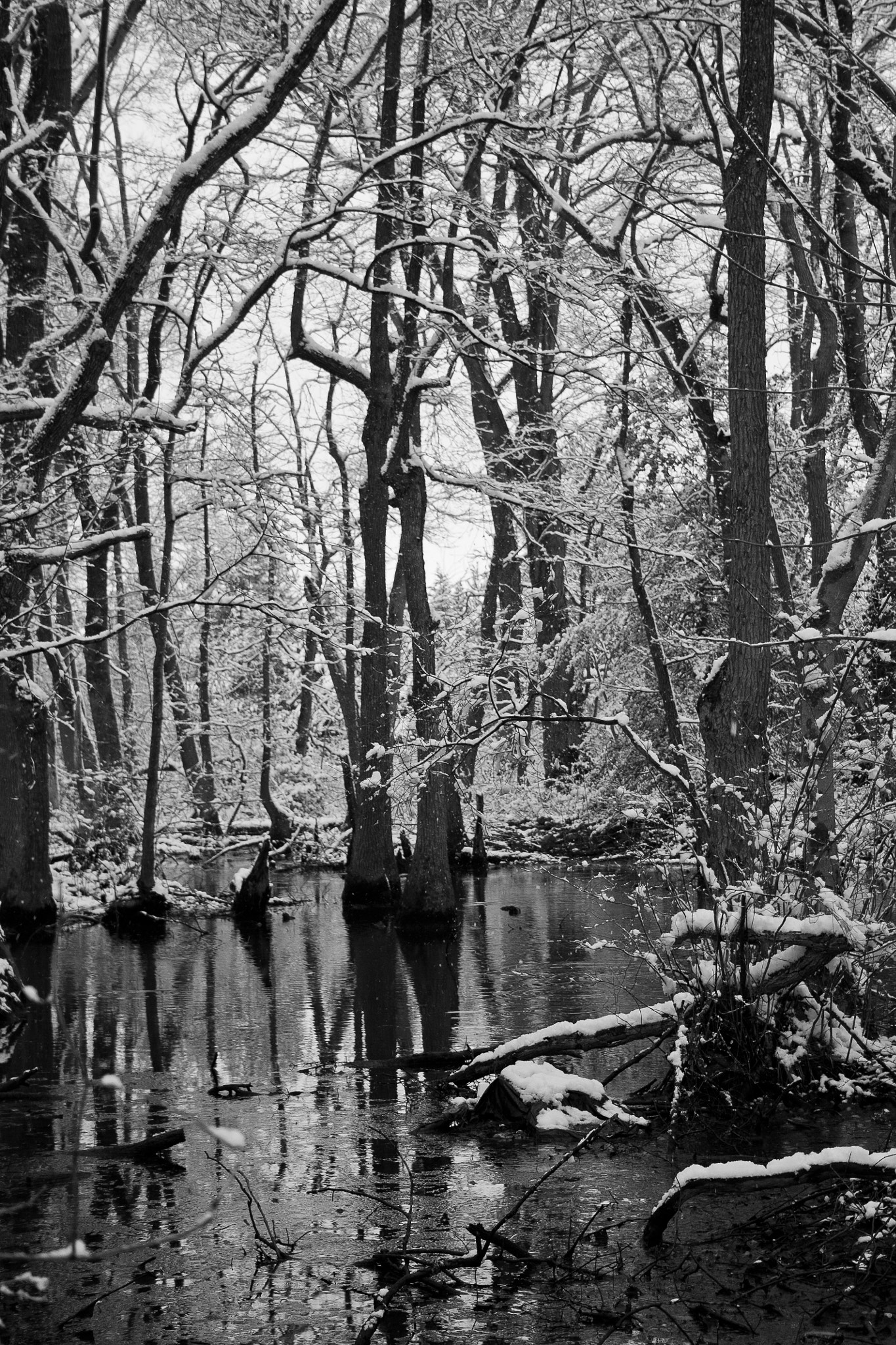 Canon EF-S 18-55mm F3.5-5.6 sample photo. Winter silence 2 photography