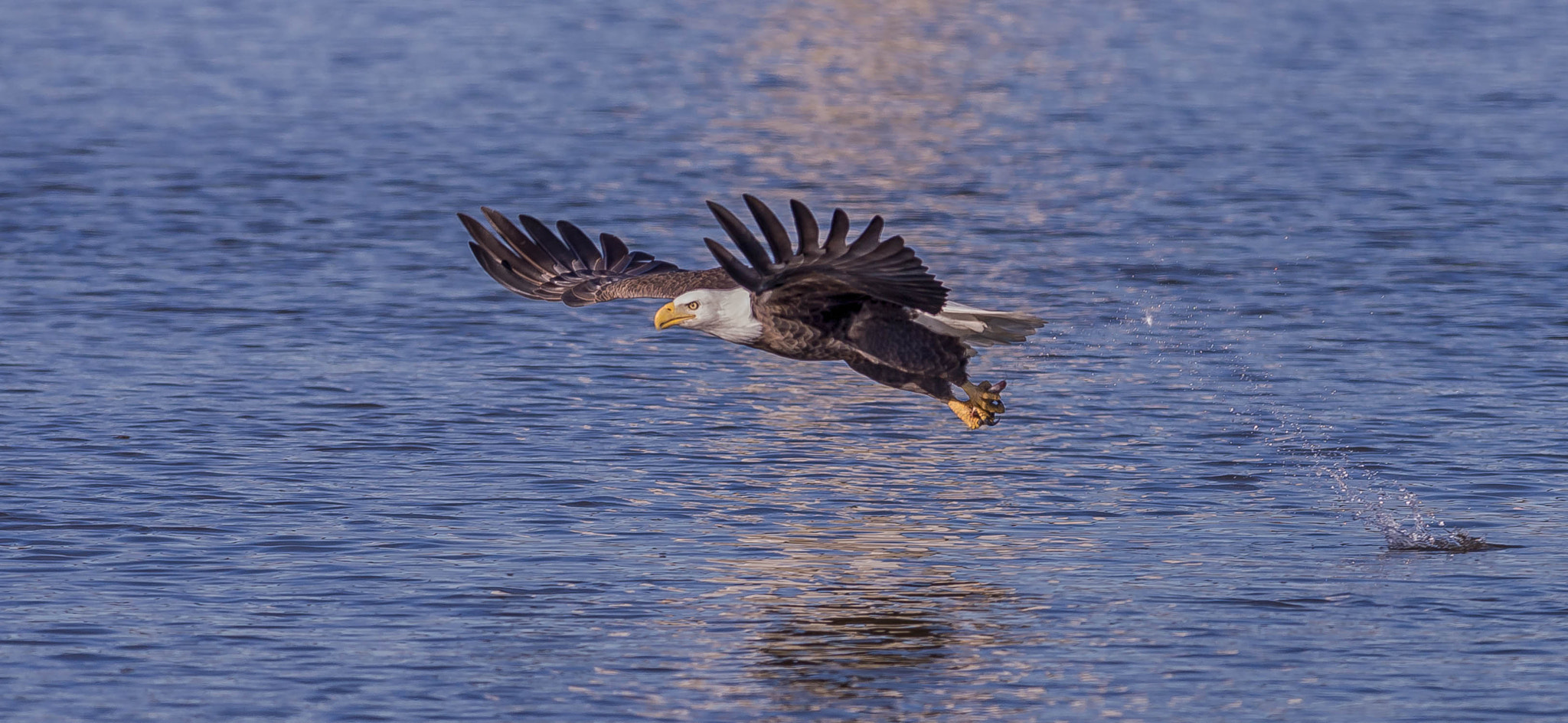 Nikon AF-S Nikkor 300mm F2.8G ED VR II sample photo. I luv to fish photography