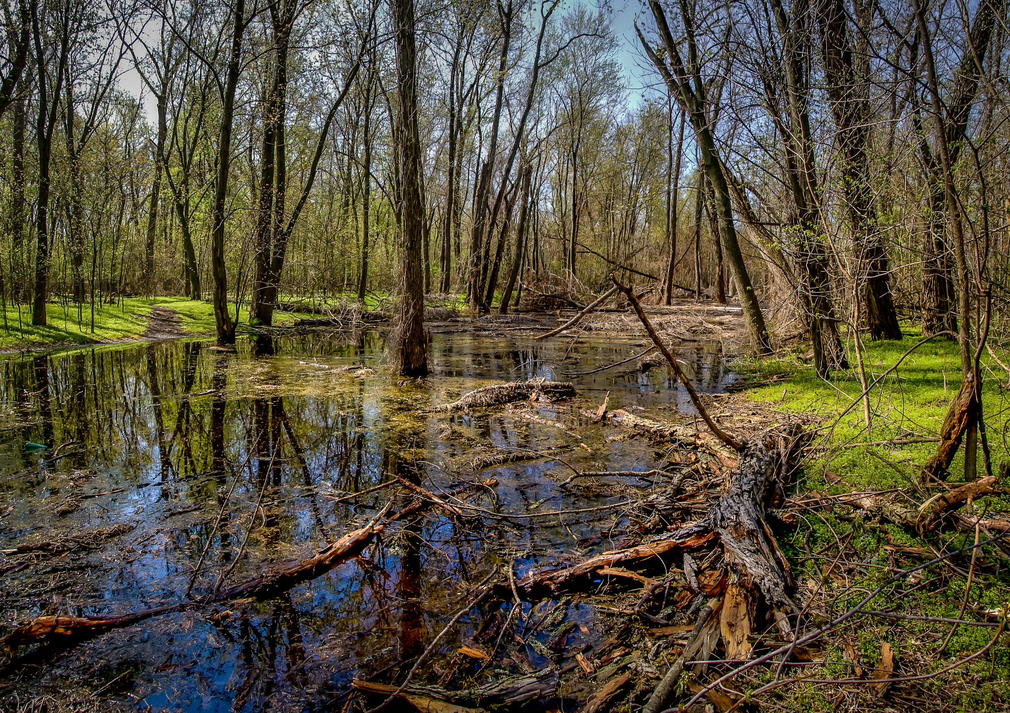 Pentax K100D sample photo. Mississippi backwater 2 photography
