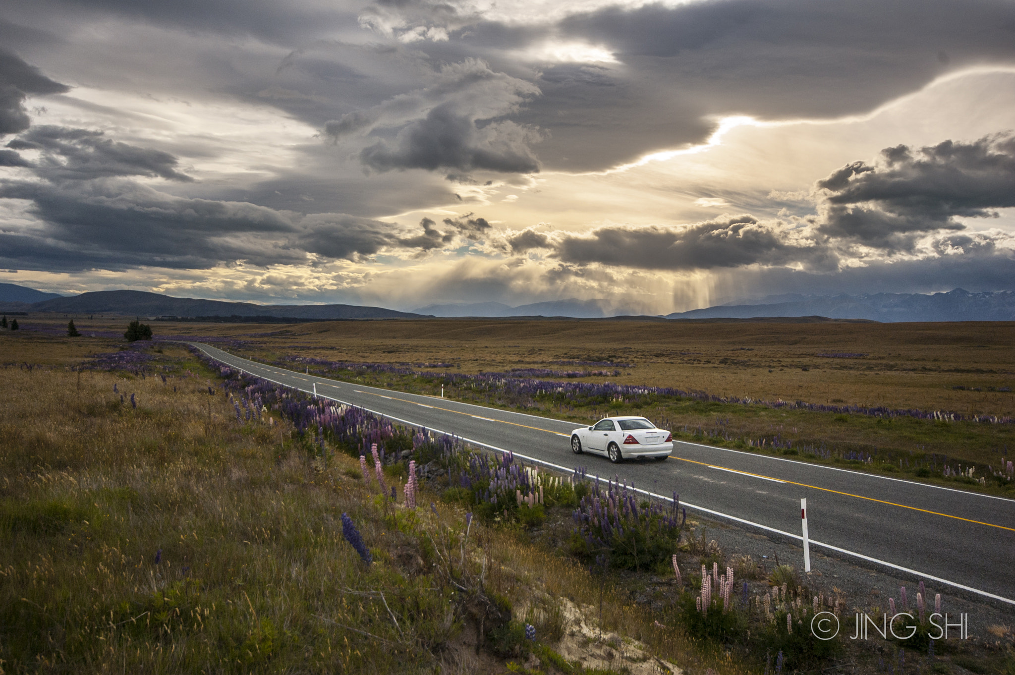 Nikon D50 sample photo. The road photography