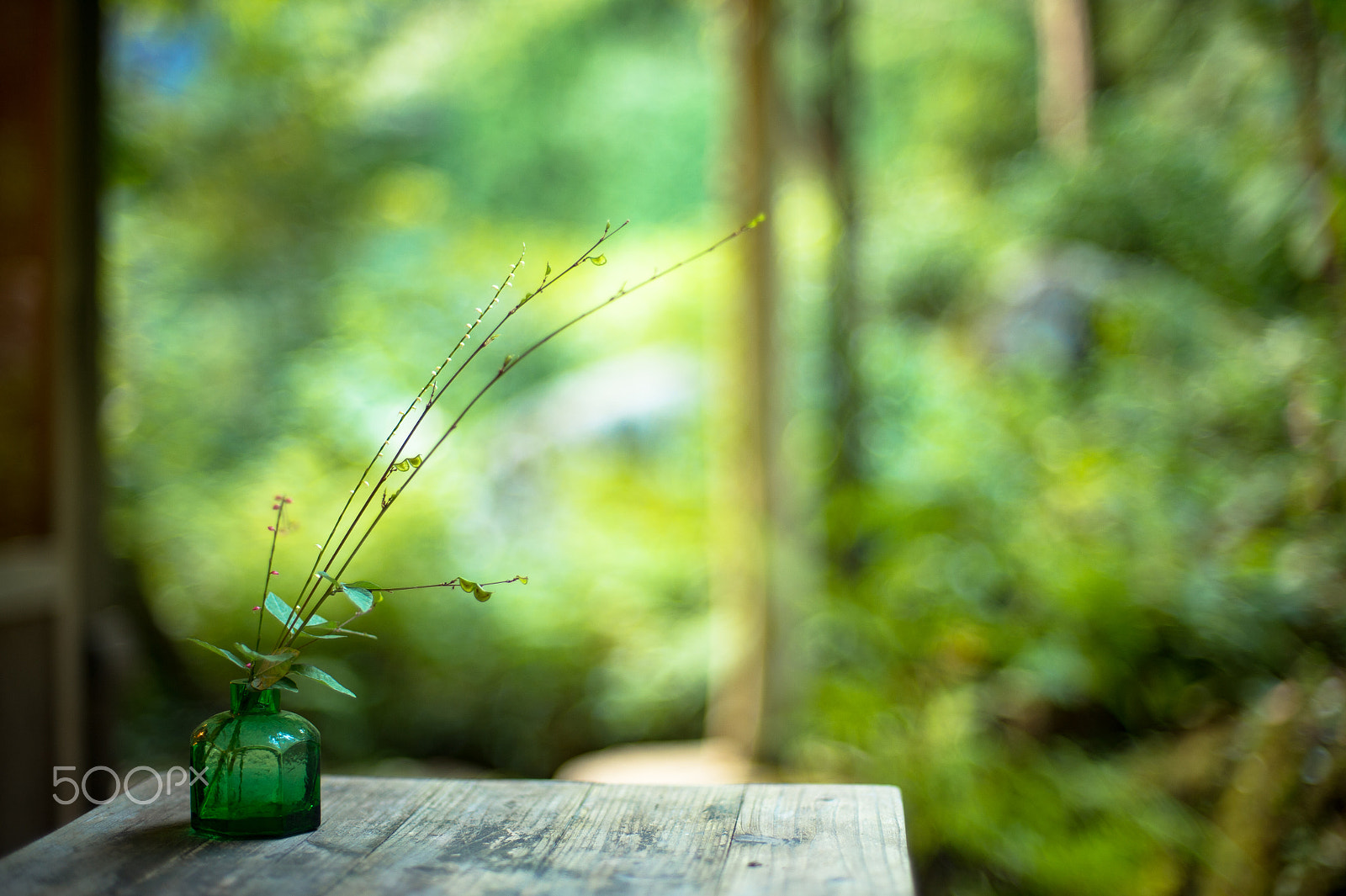 Nikon Df + AF Nikkor 50mm f/1.4 sample photo. Cafe in the forest photography