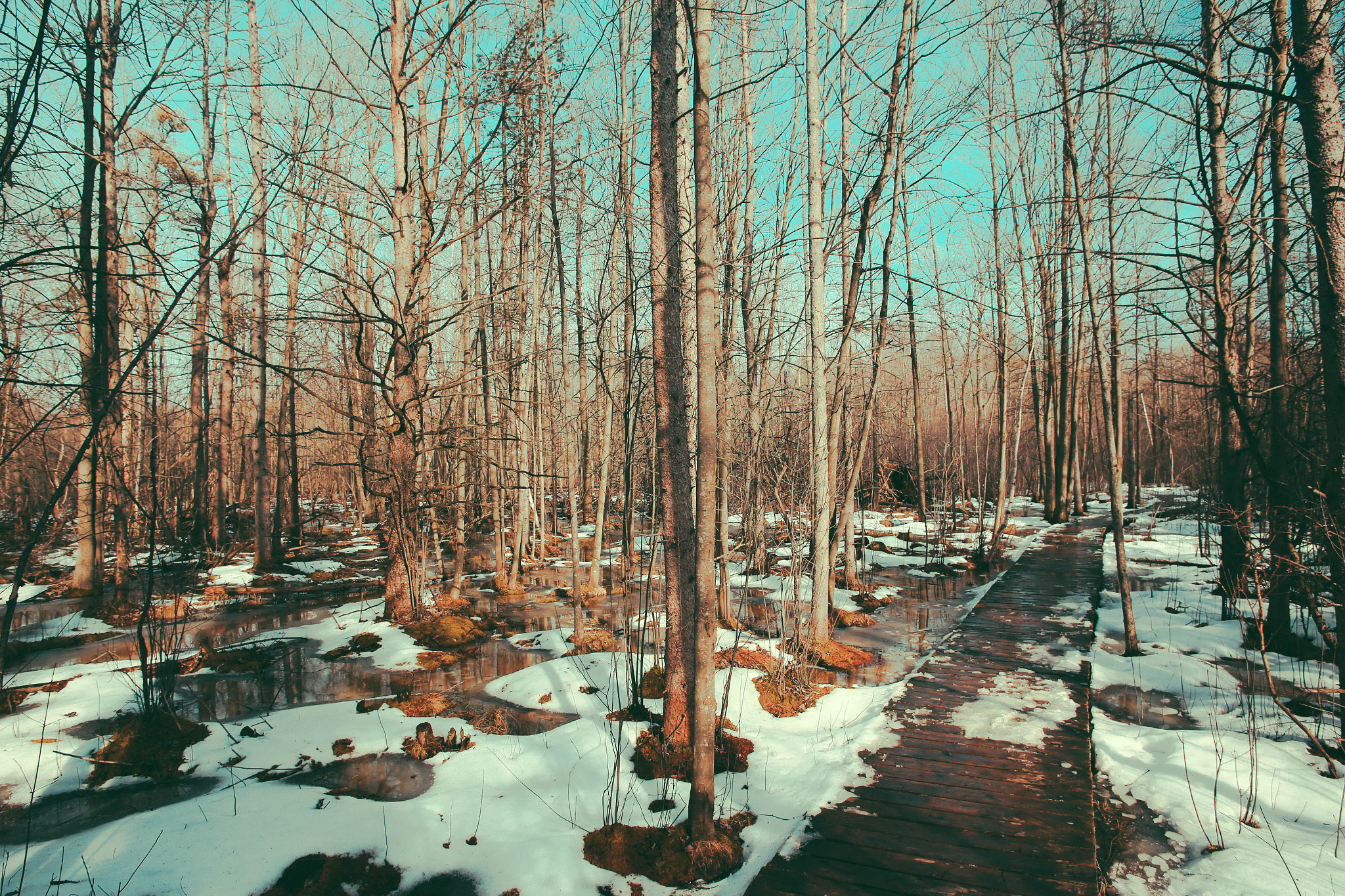 Canon EF 20-35mm F3.5-4.5 USM sample photo. Sifton bog photography