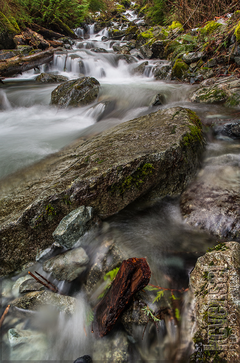 Pentax K-5 II sample photo. Tranquil photography