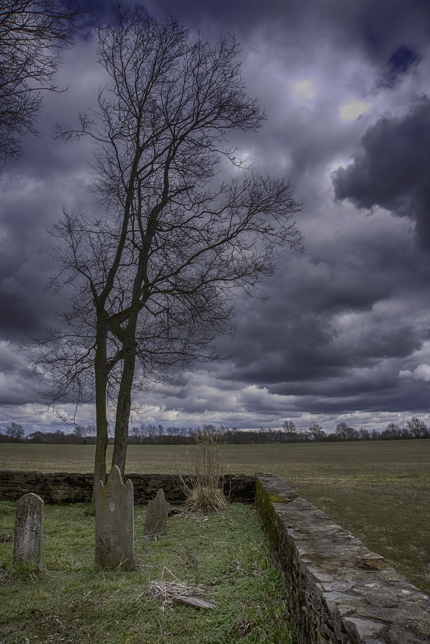 AF Zoom-Nikkor 24-120mm f/3.5-5.6D IF sample photo. Clouds in spring hill photography