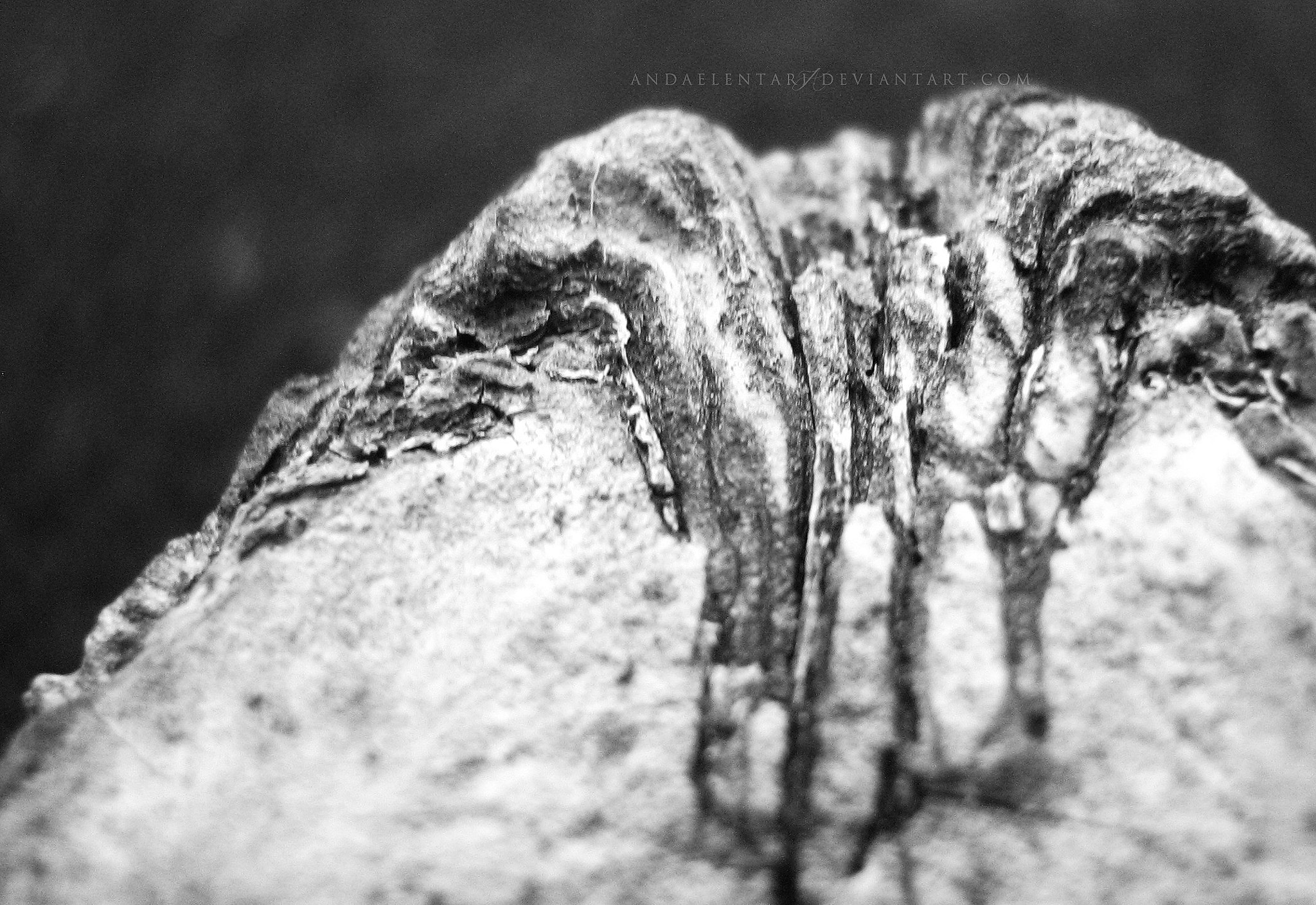 Canon POWERSHOT A430 sample photo. Tiny mountain photography