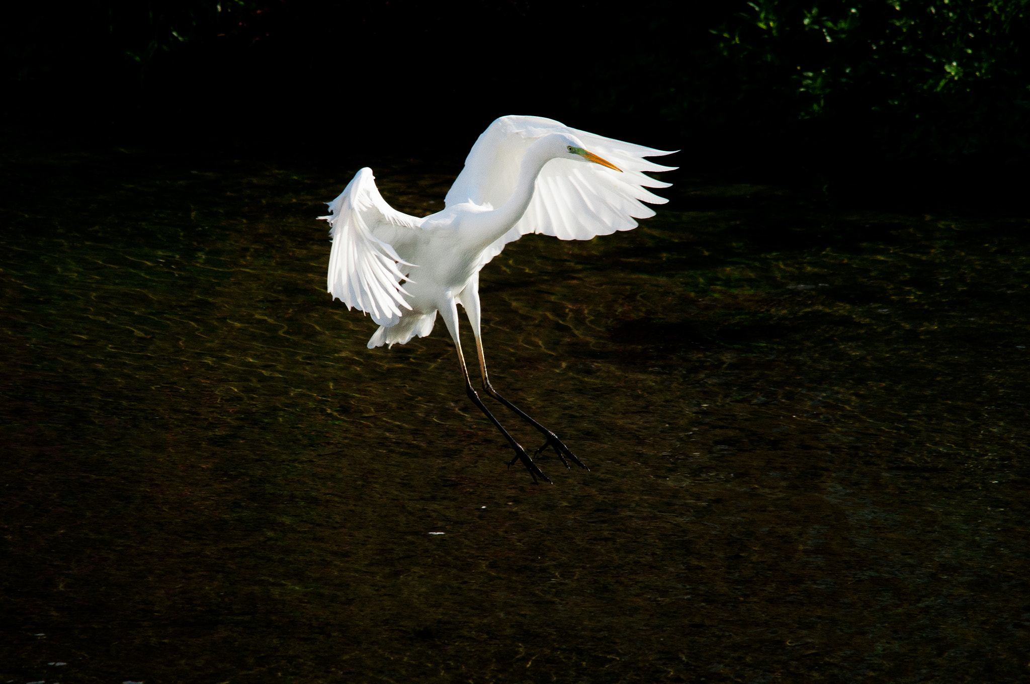 Sigma 150-500mm F5-6.3 DG OS HSM sample photo. 2016-03-03_wil_091312-2.jpg photography