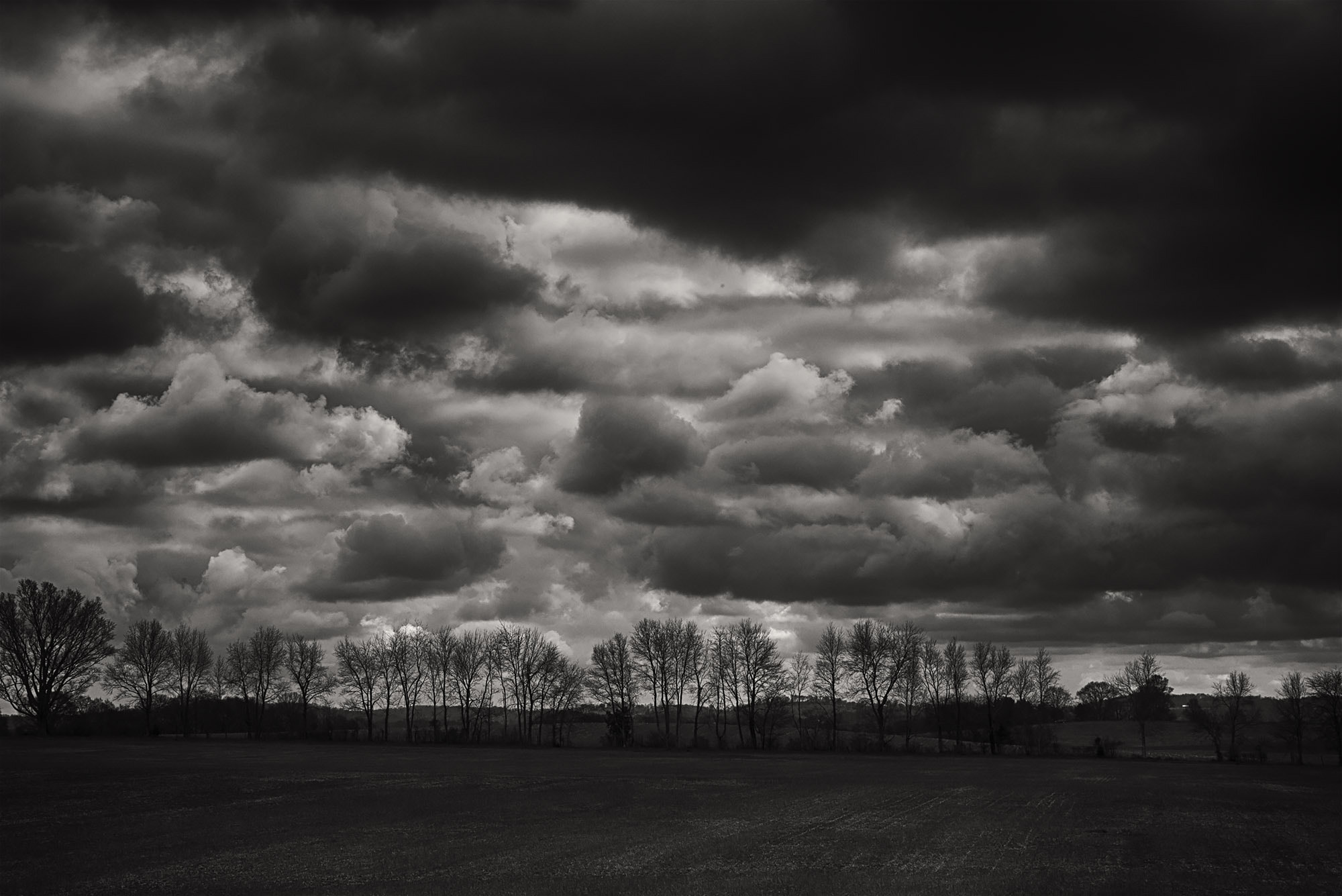 AF Zoom-Nikkor 24-120mm f/3.5-5.6D IF sample photo. Tree line photography