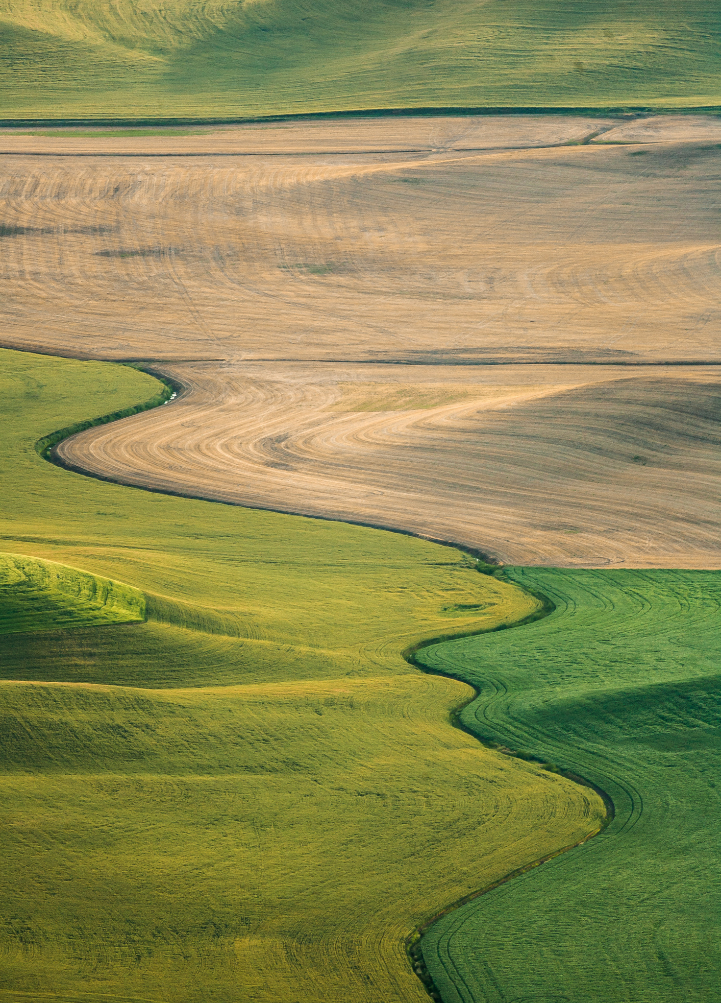 Canon EF 100-400mm F4.5-5.6L IS USM sample photo. Palouse dream fields.. photography
