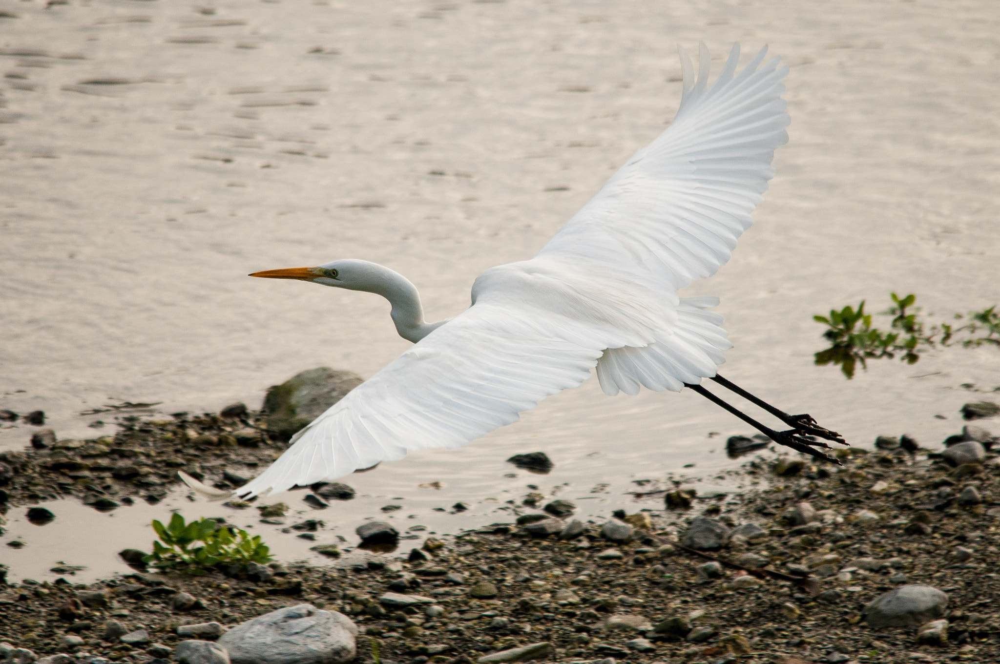 Sigma 150-500mm F5-6.3 DG OS HSM sample photo. 2016-01-01_wil_101632-2.jpg photography