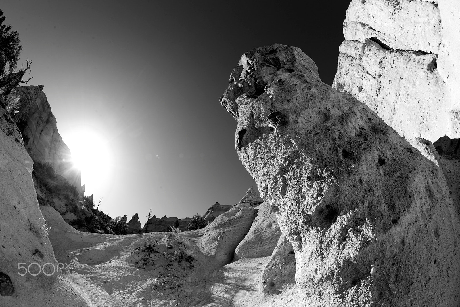 Canon EF 8-15mm F4L Fisheye USM sample photo. Mars landscape (b&amp;w) photography