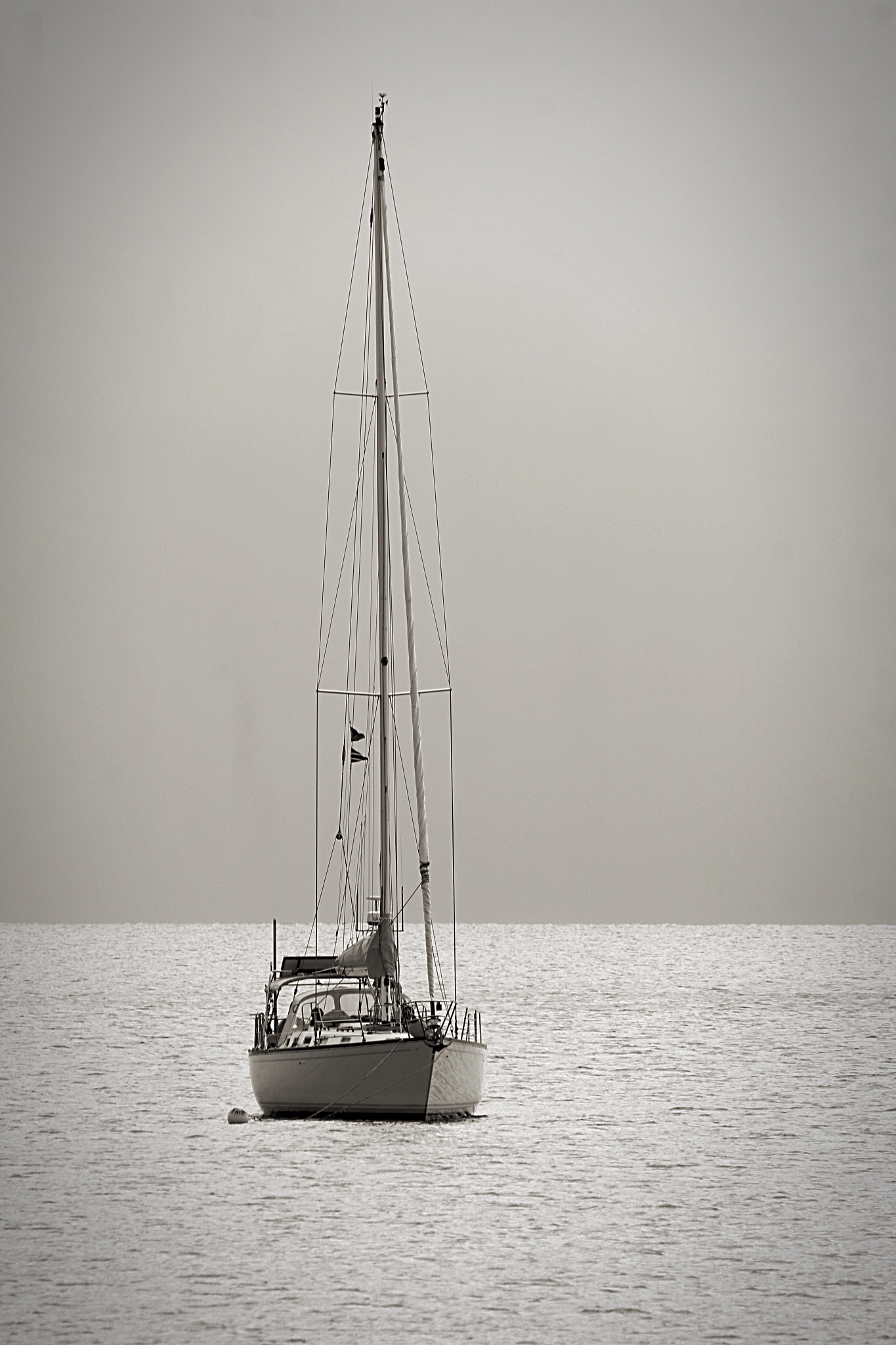 Canon EF75-300mm f/4-5.6 sample photo. Arrived photography