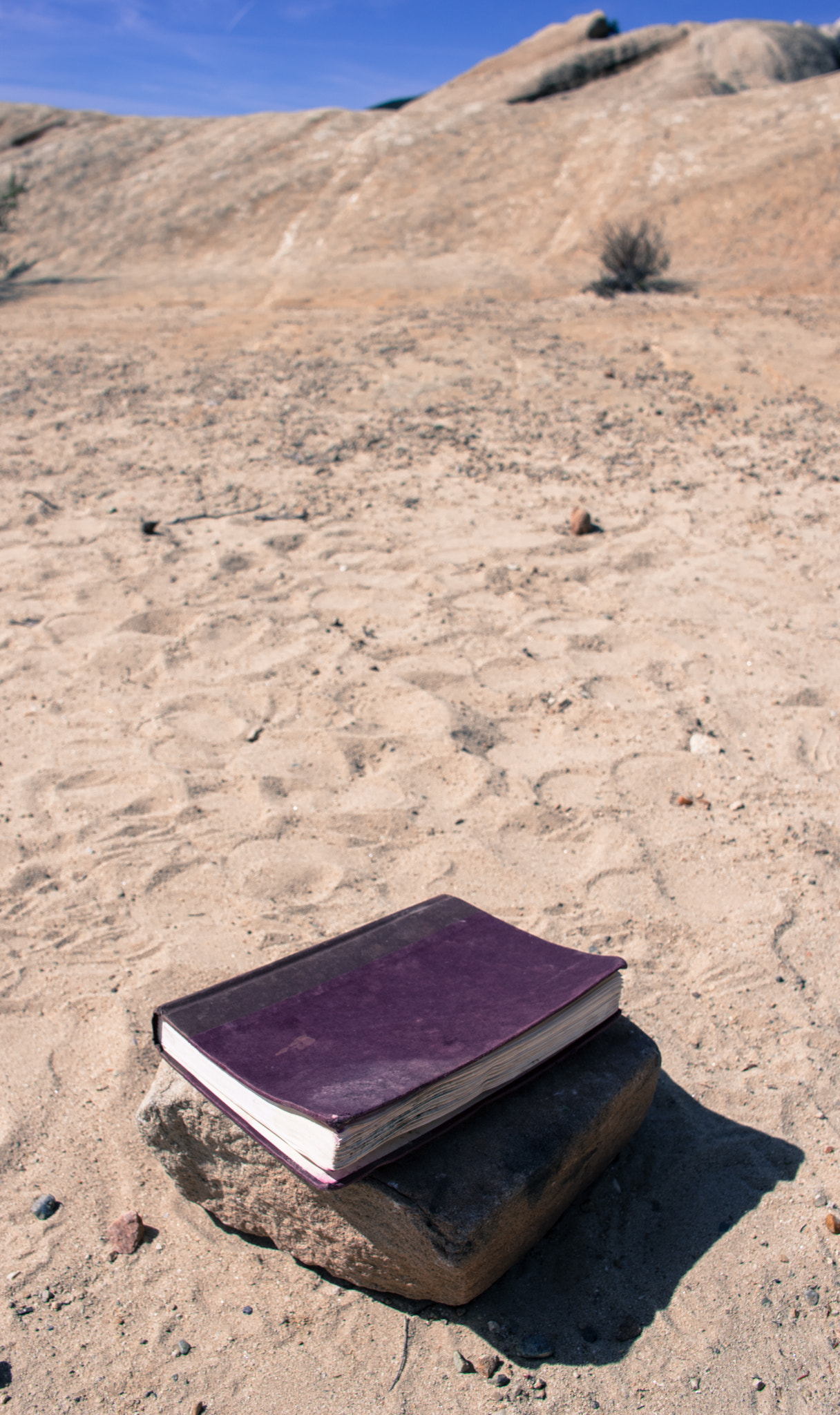 Pentax K-3 II + HD Pentax DA 21mm F3.2 AL Limited sample photo. Abandoned book photography