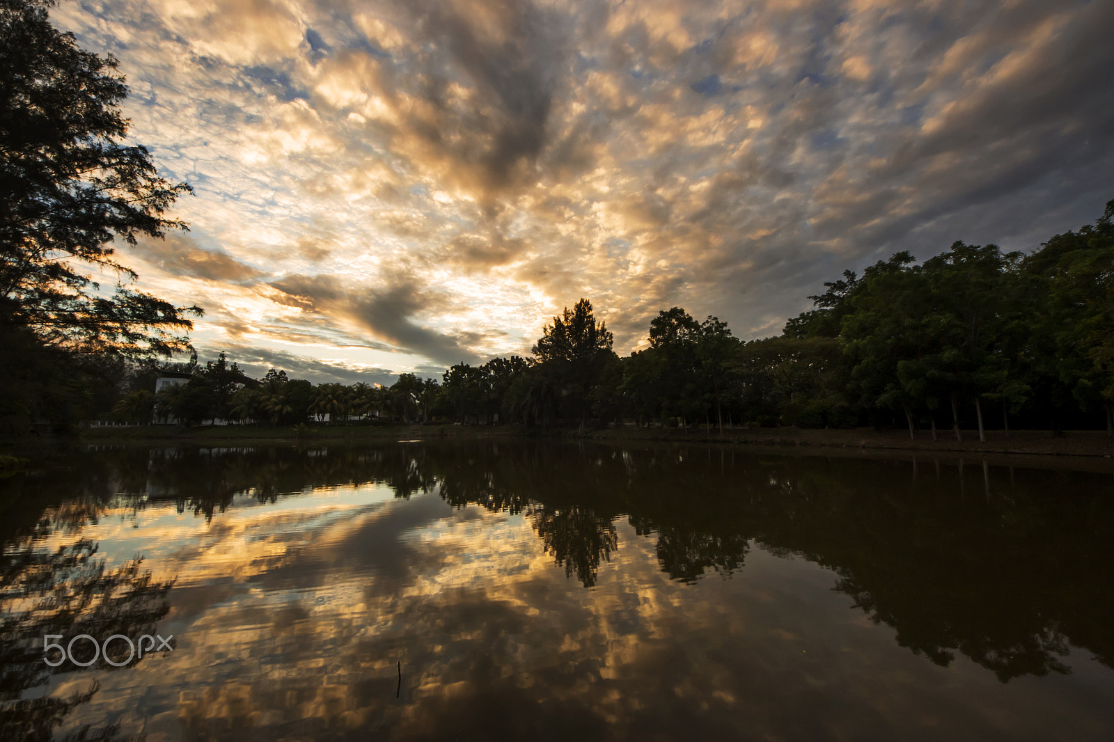 Sigma 8-16mm F4.5-5.6 DC HSM sample photo. 1u5a0579_.jpg photography