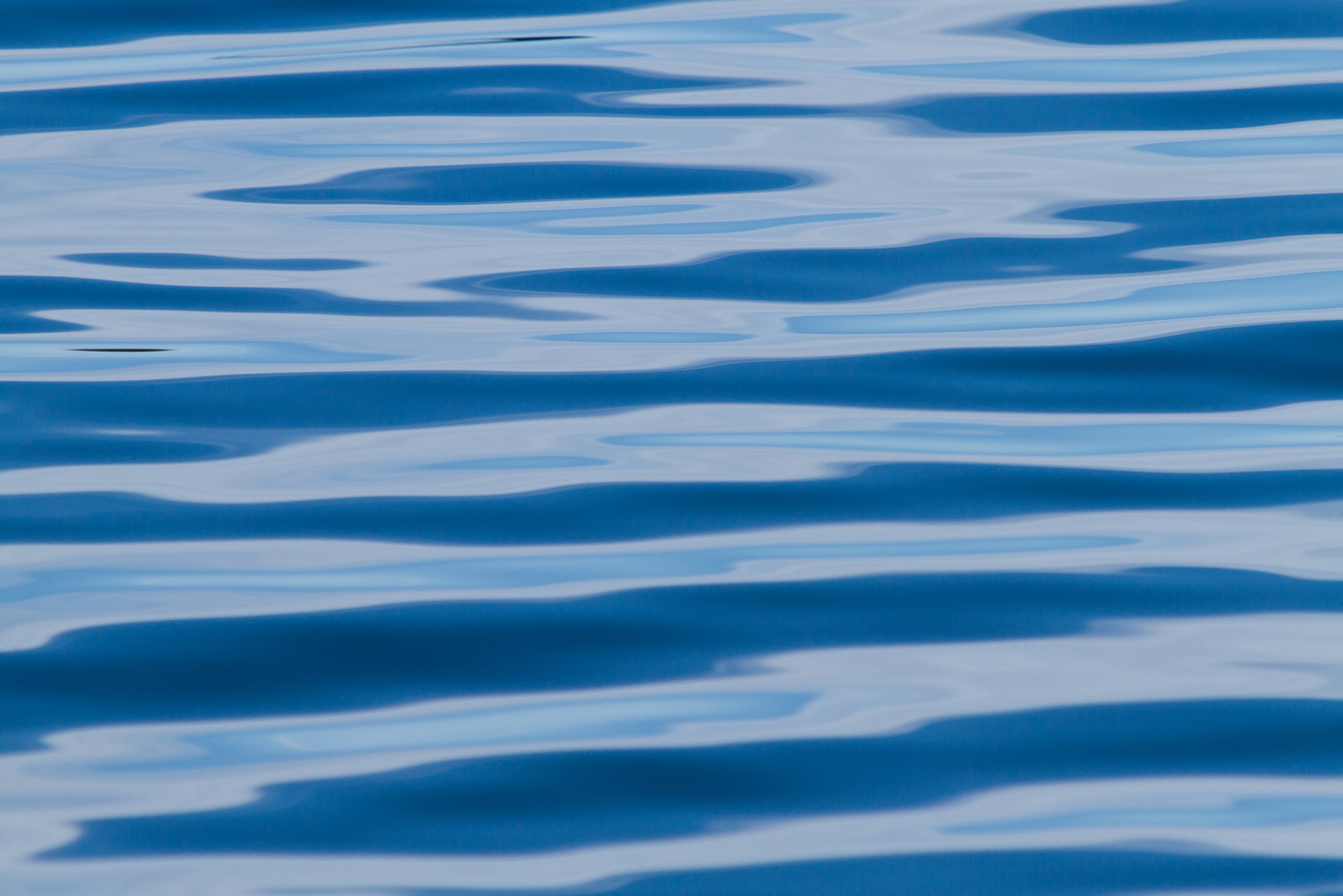 Canon EF 70-200mm F2.8L IS USM sample photo. Adrift photography