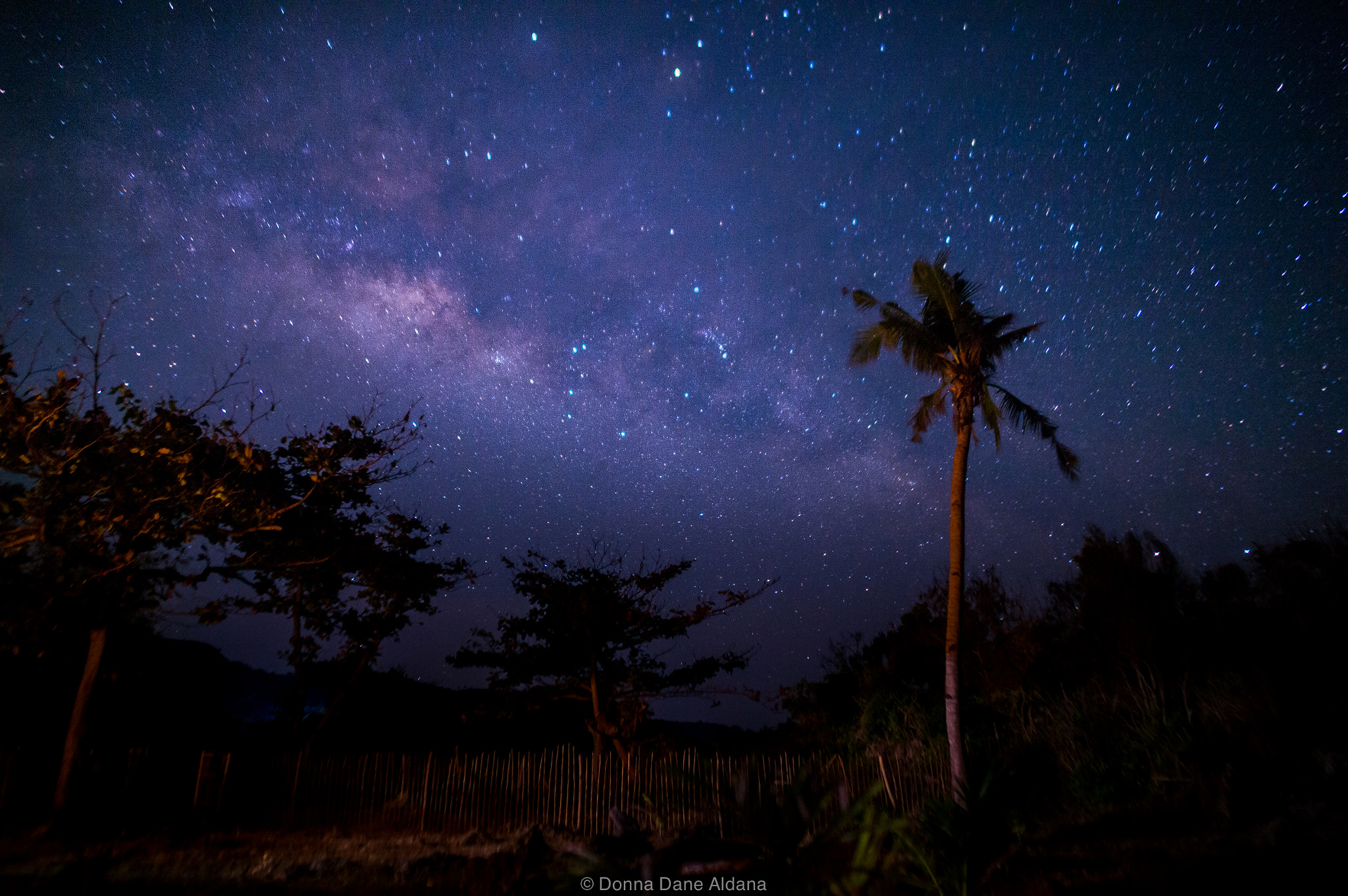 Nikon Df + Samyang 12mm F2.8 ED AS NCS Fisheye sample photo. Tropical milky way photography