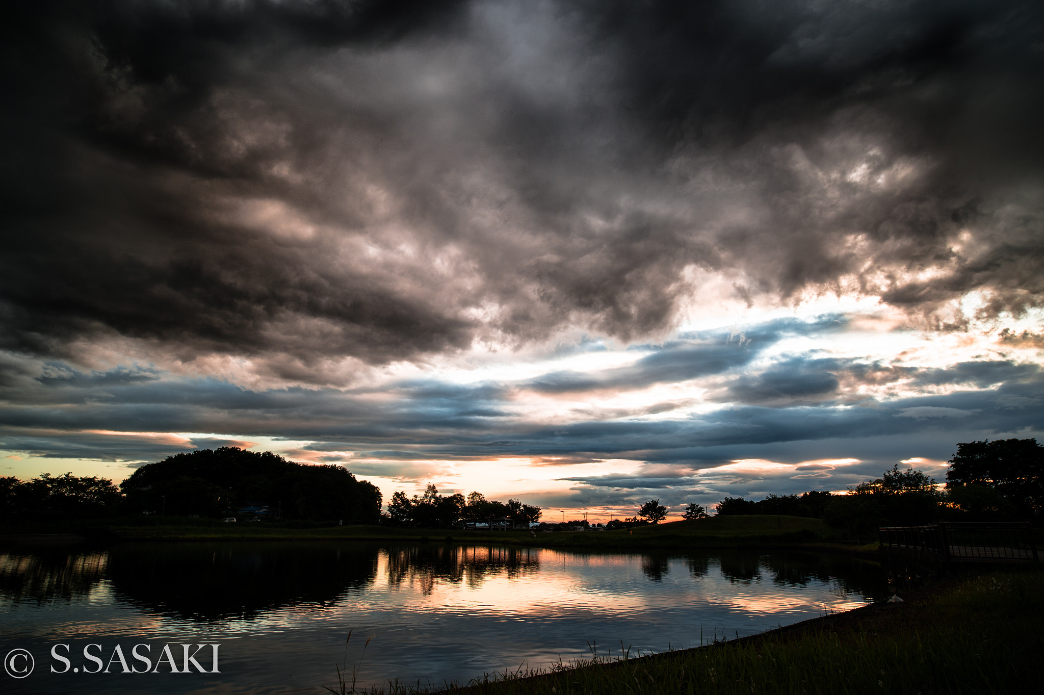 Nikon Df sample photo. Kamikaze photography