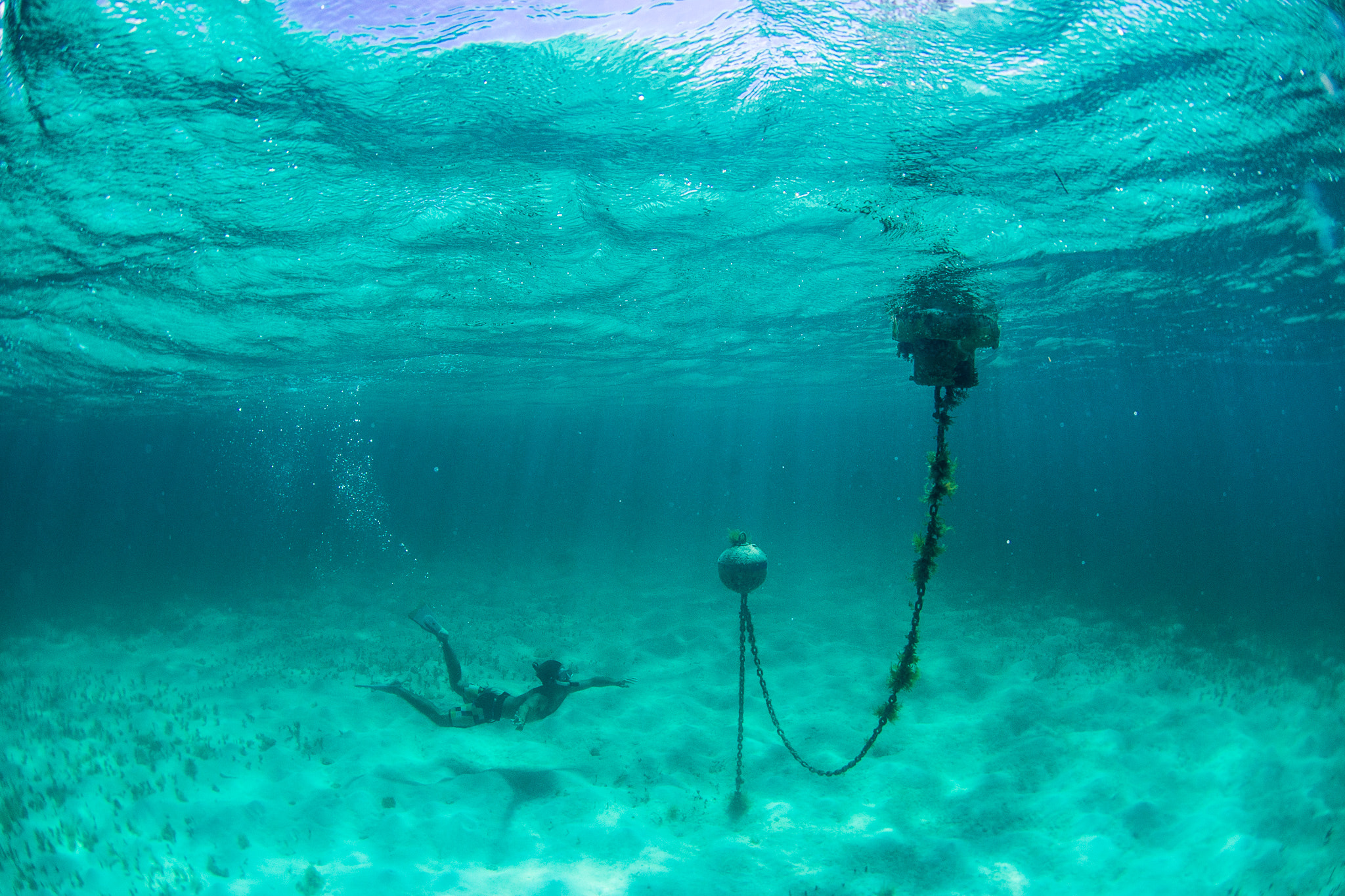 Nikon AF DX Fisheye-Nikkor 10.5mm F2.8G ED sample photo. Swimming bomb's photography