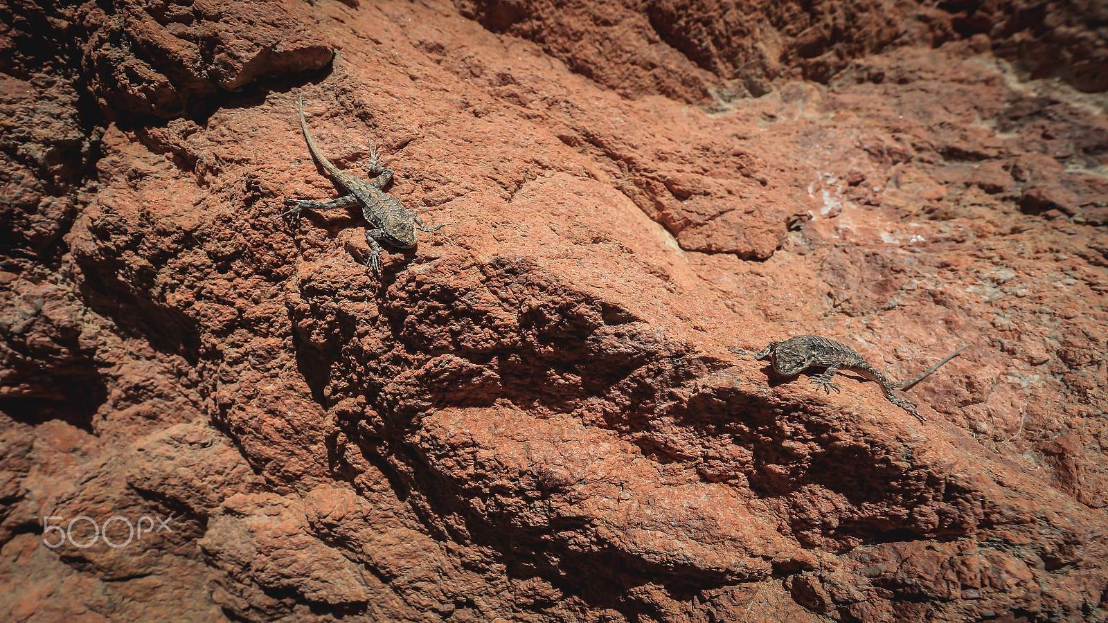 Canon EF 14mm F2.8L II USM sample photo. Grand canyon photography