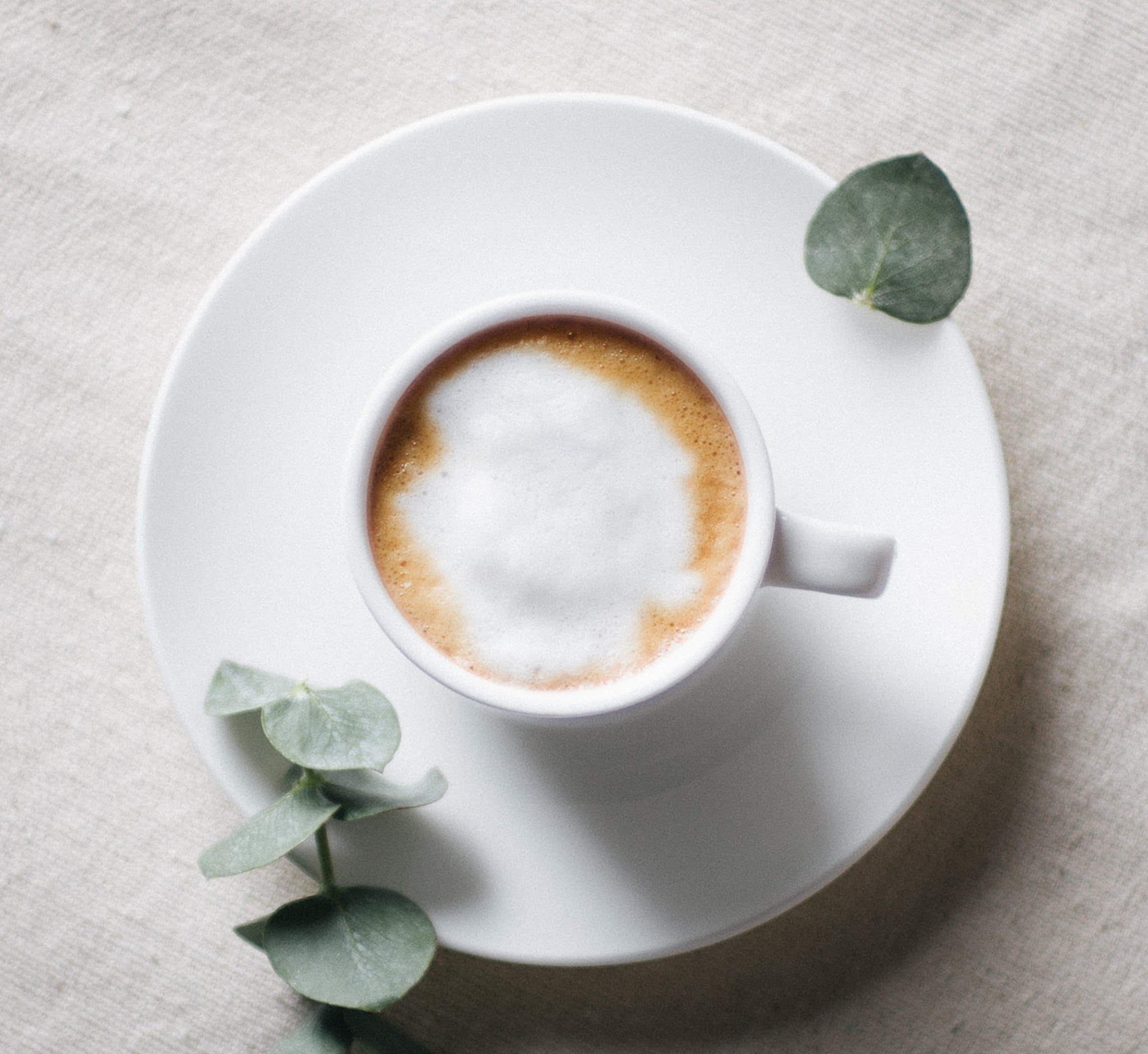 Elmarit-M 1:2.8/21 sample photo. Morning photography