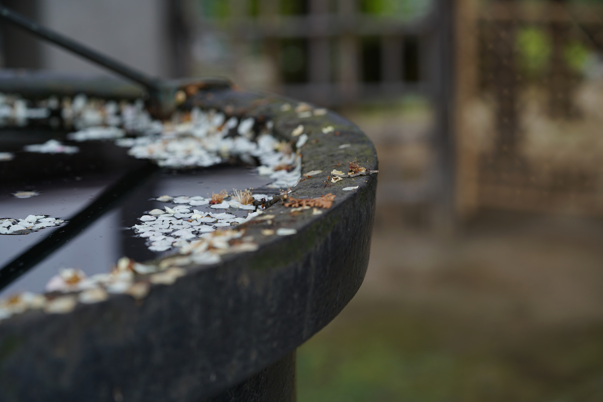 Sony a7R II + Sony FE 90mm F2.8 Macro G OSS sample photo. Drops photography