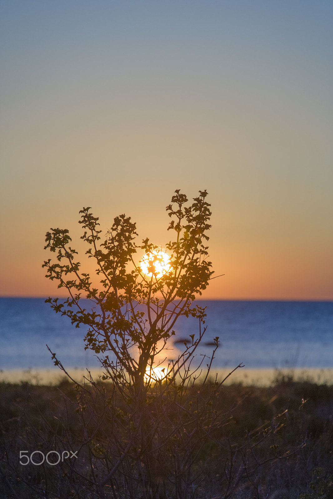Sigma 70-200mm F2.8 EX DG OS HSM sample photo. Sunset on the island of vormsi photography