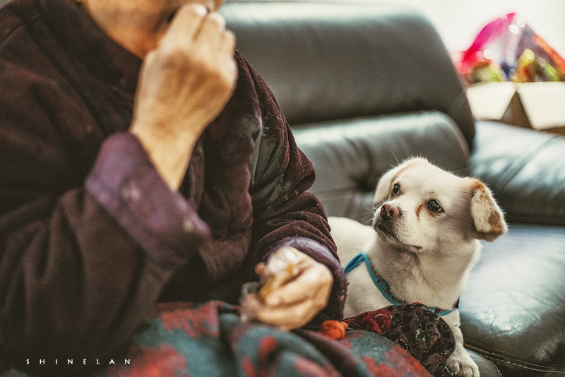 Sony a7R II + Canon EF 50mm F1.8 STM sample photo.  或者你的陪伴终有尽头，但如今在我身边，就让我给你拍拍照吧。  photography