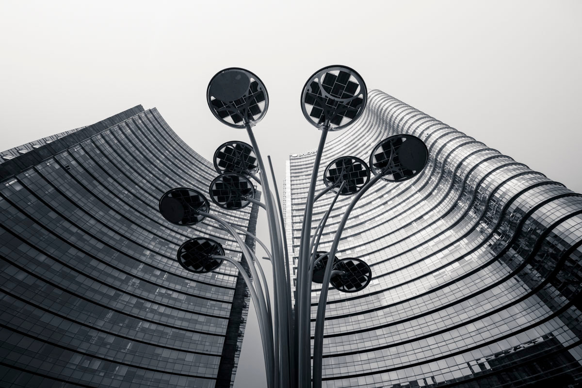 Panasonic Lumix G Vario 7-14mm F4 ASPH sample photo. Urban mushrooms photography