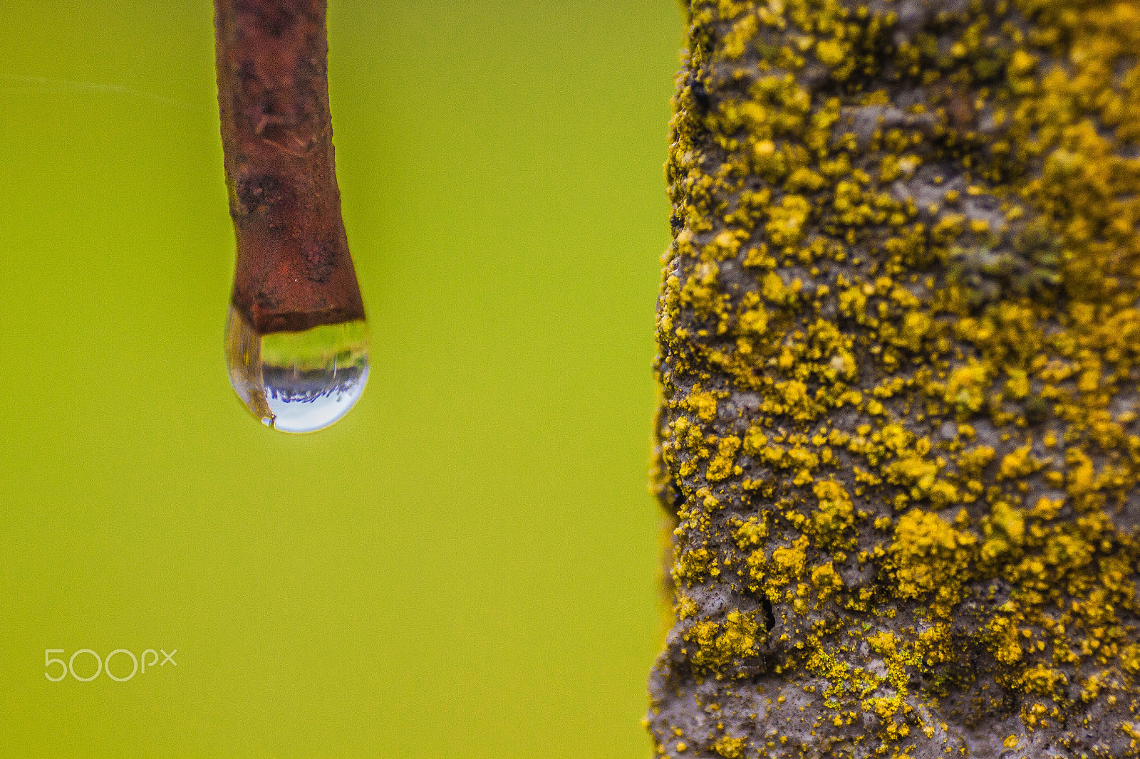 Canon EOS 500D (EOS Rebel T1i / EOS Kiss X3) + Canon EF 35-70mm f/3.5-4.5 sample photo. It's raining man... photography