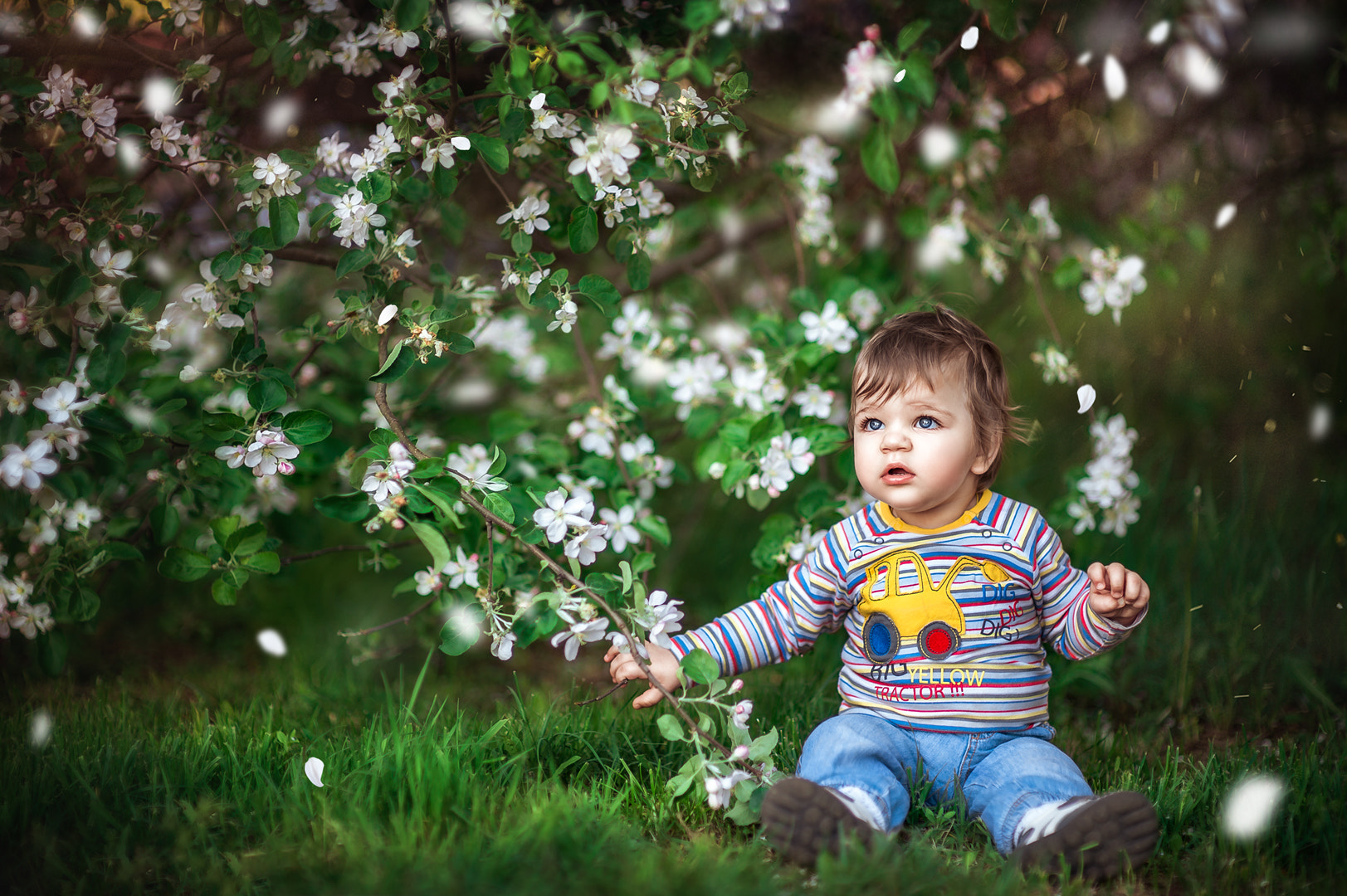 Nikon D4 + Sigma 85mm F1.4 EX DG HSM sample photo. Boy photography