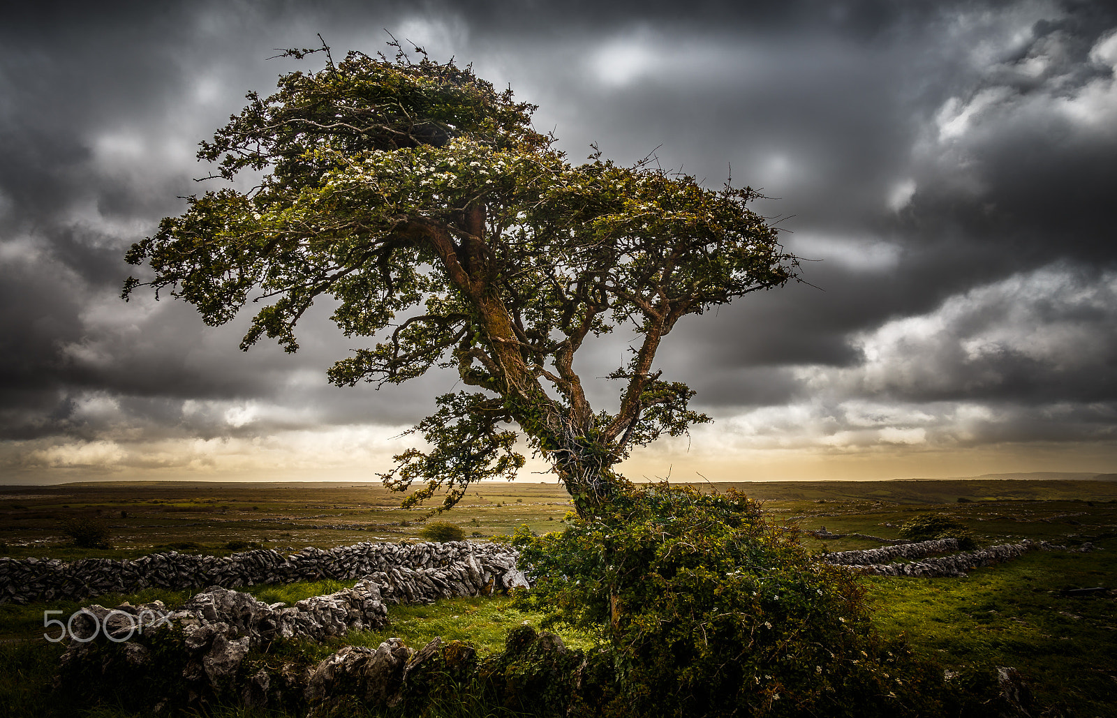 Canon EF 24-85mm F3.5-4.5 USM sample photo. Irish evening photography
