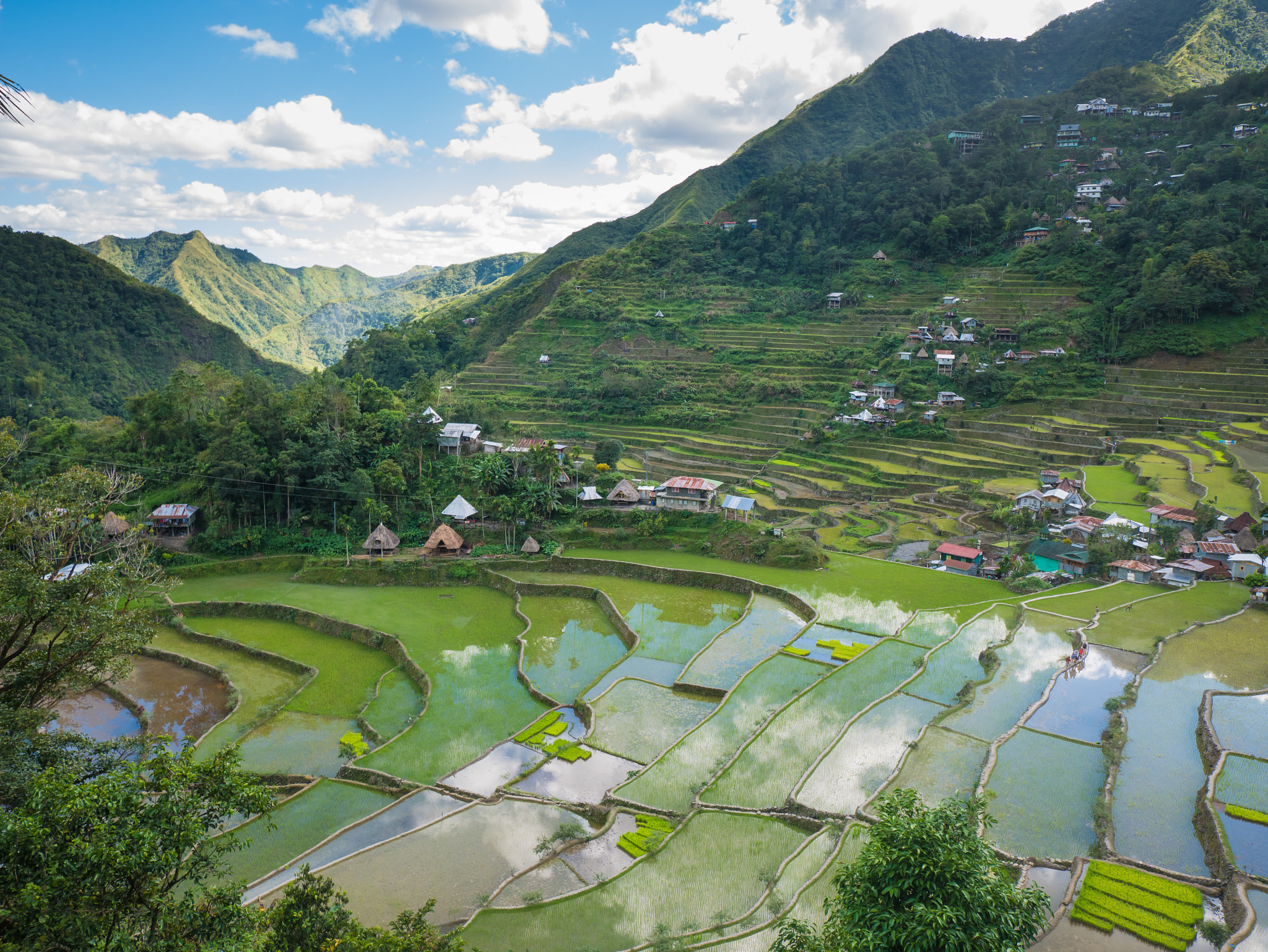 Panasonic Lumix DMC-G7 + Panasonic Lumix G Vario 7-14mm F4 ASPH sample photo. Rice terraces photography