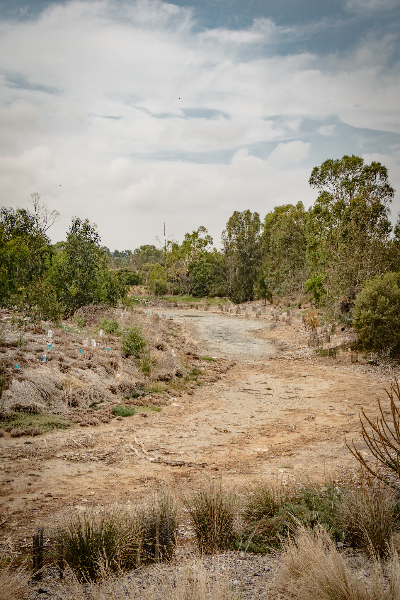 Canon EOS M3 sample photo. Drought photography