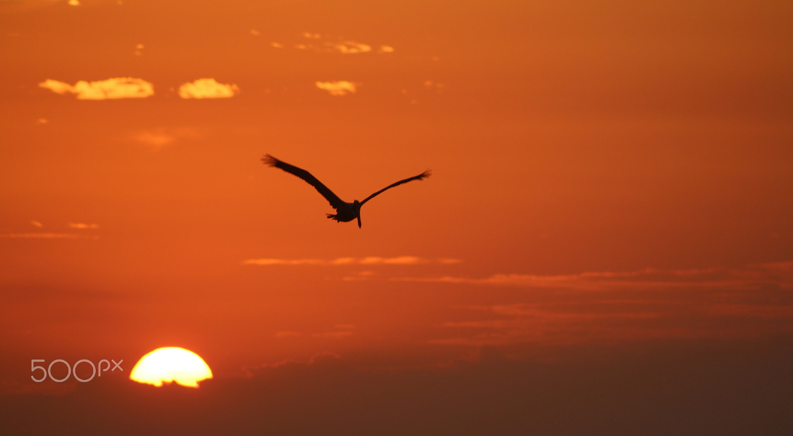 Canon EF 75-300mm f/4-5.6 USM sample photo. Tarde photography