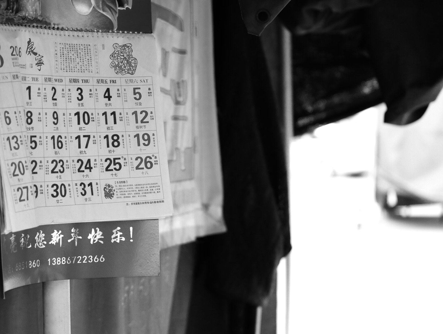 Canon EF-S 55-250mm F4-5.6 IS II sample photo