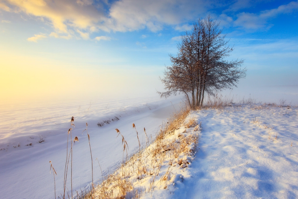 A Fairytale Winter by Peter Bolman on 500px.com