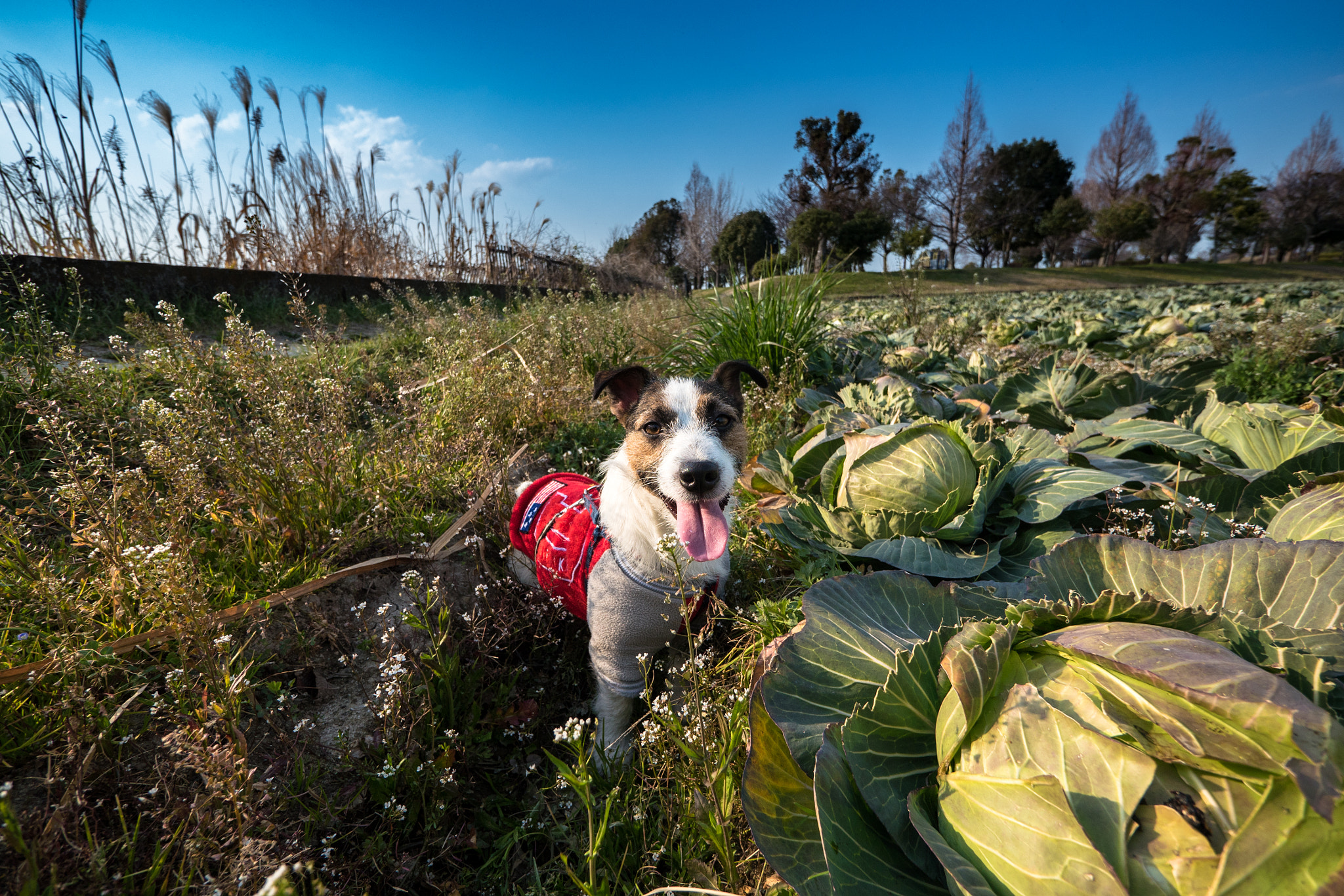 Panasonic Lumix G Vario 7-14mm F4 ASPH sample photo. 099. photography