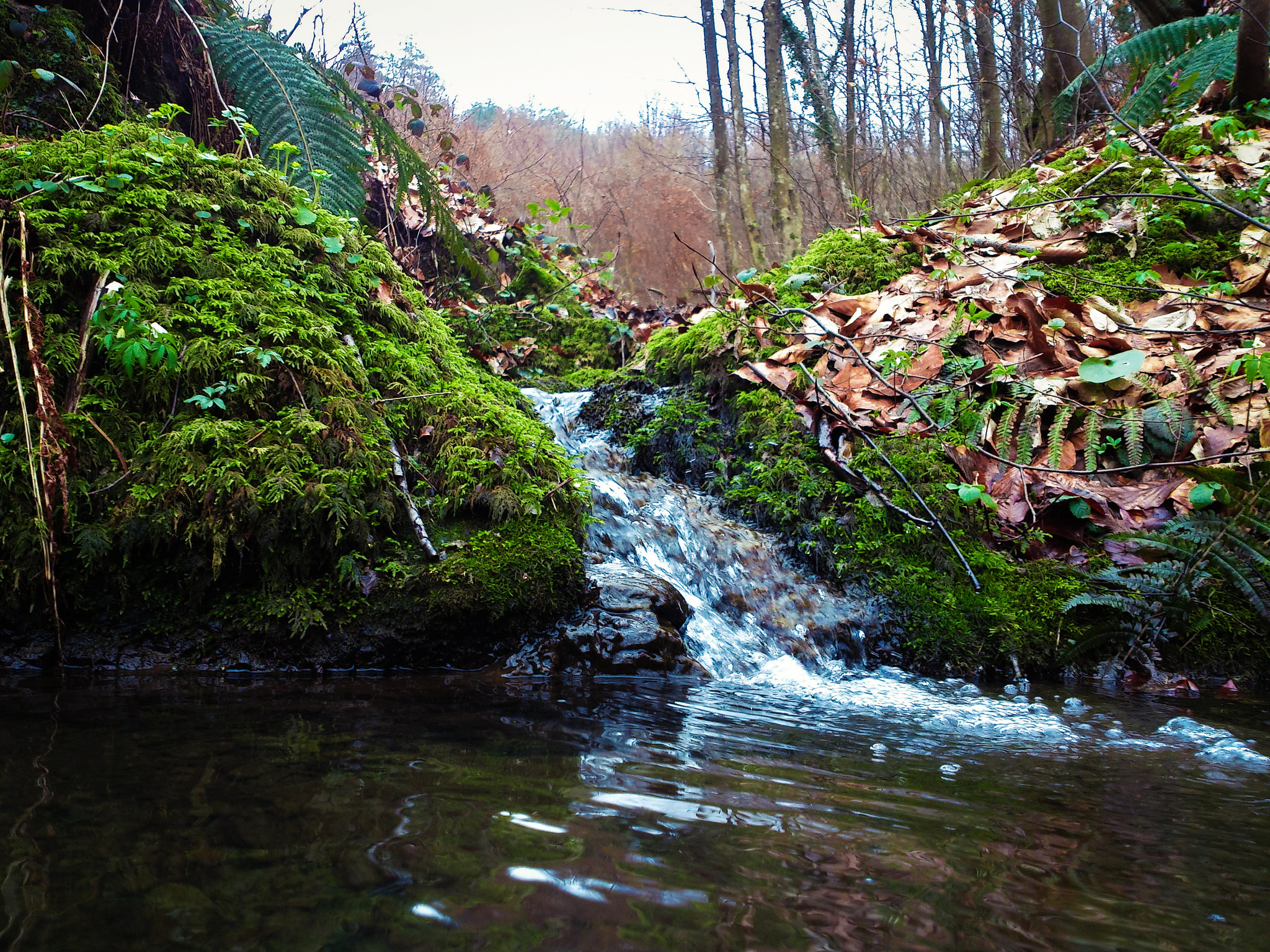Sony Xperia V sample photo. Forest little waterfall photography